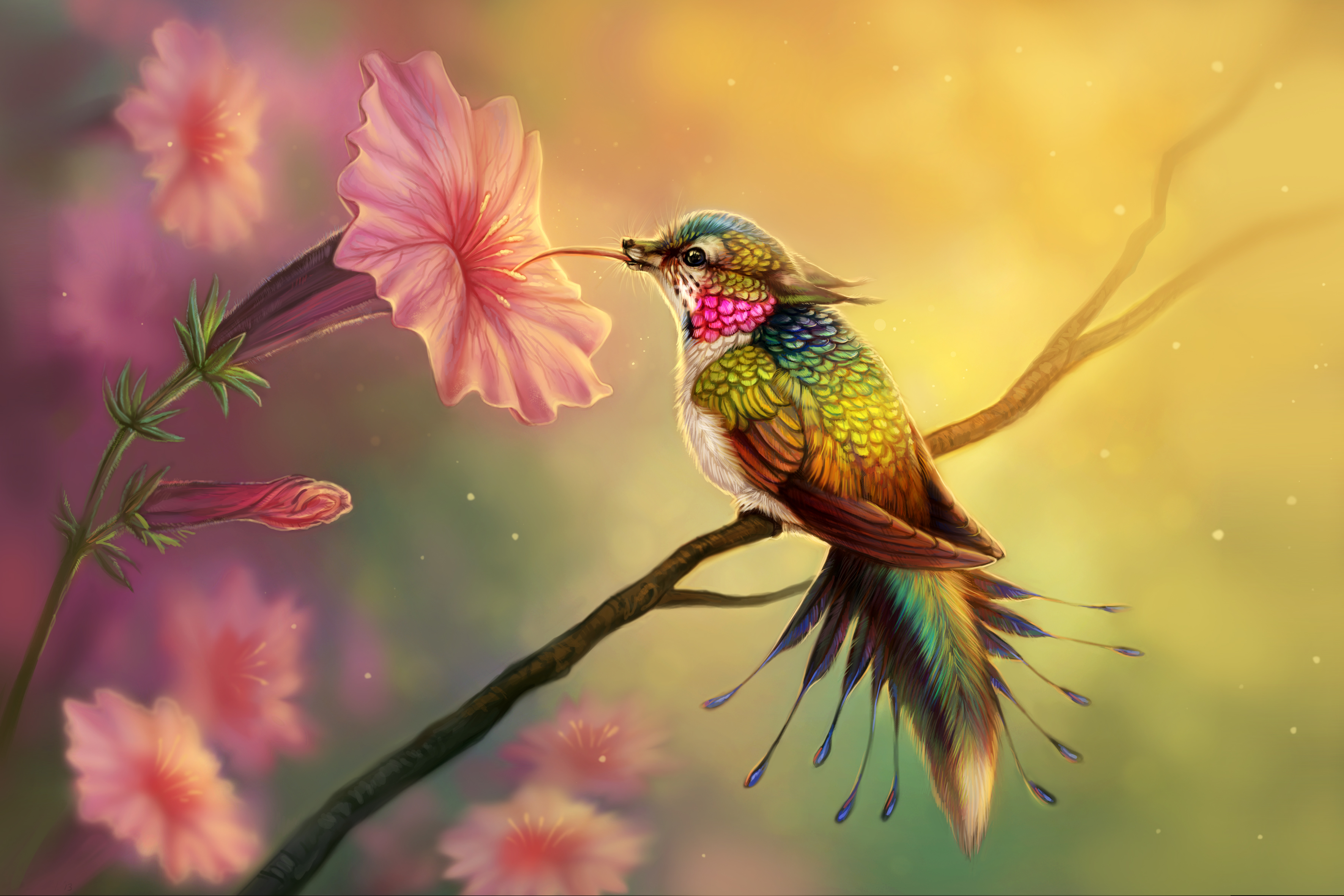 Abstract Hummingbird Wallpapers  Top Free Abstract Hummingbird Backgrounds   WallpaperAccess