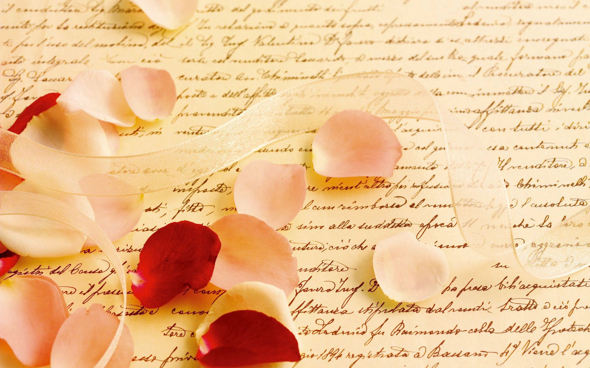 Laden Sie das Sonstige, Rose, Band, Brief, Pergament, Verschiedenes, Blütenblätter-Bild kostenlos auf Ihren PC-Desktop herunter