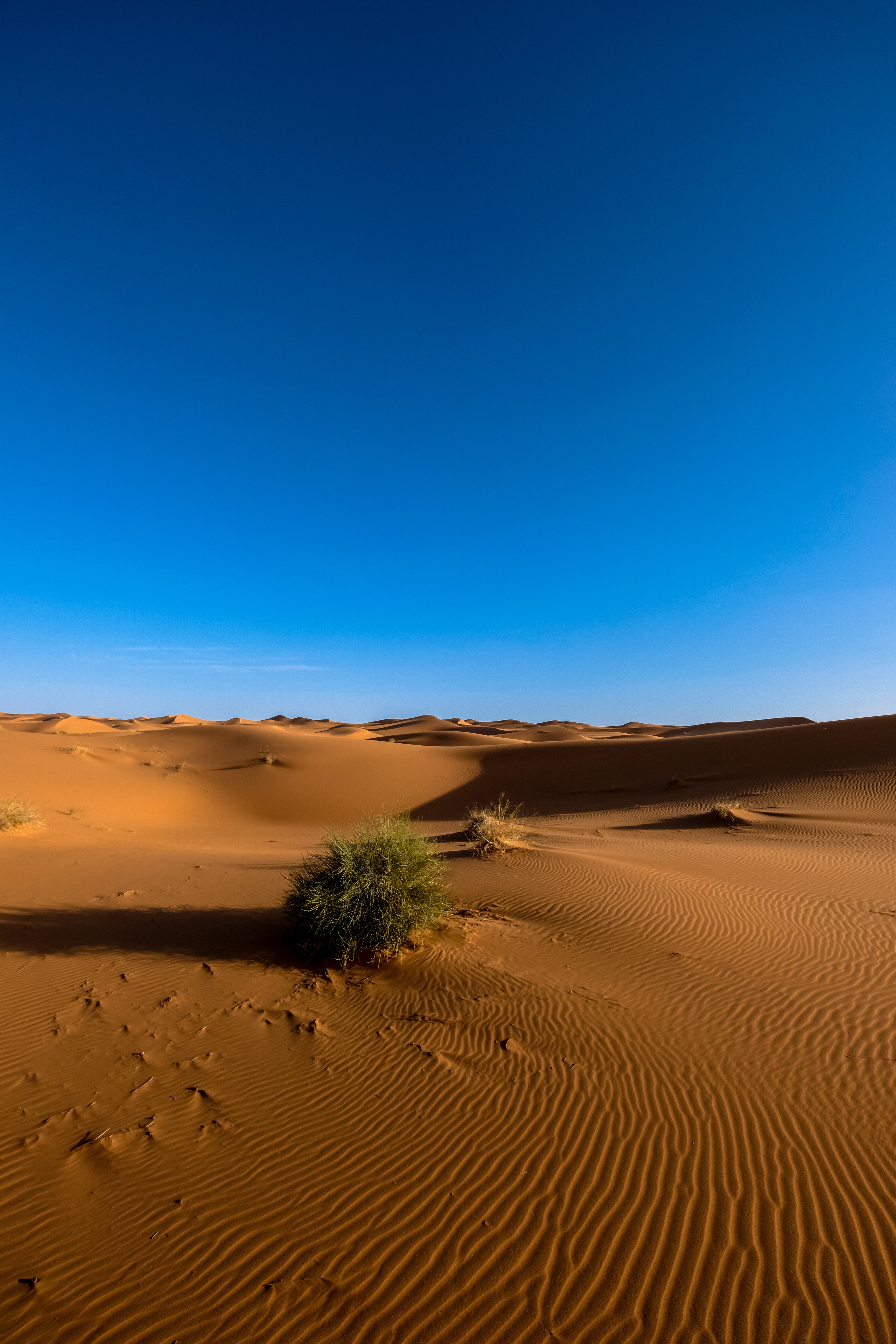 51734 Hintergrundbild herunterladen sand, wüste, natur, sky, sahara - Bildschirmschoner und Bilder kostenlos