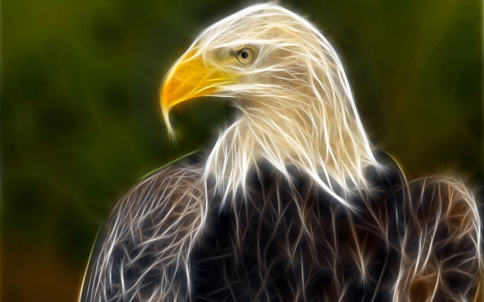 Download mobile wallpaper Animals, Eagles, Pictures for free.