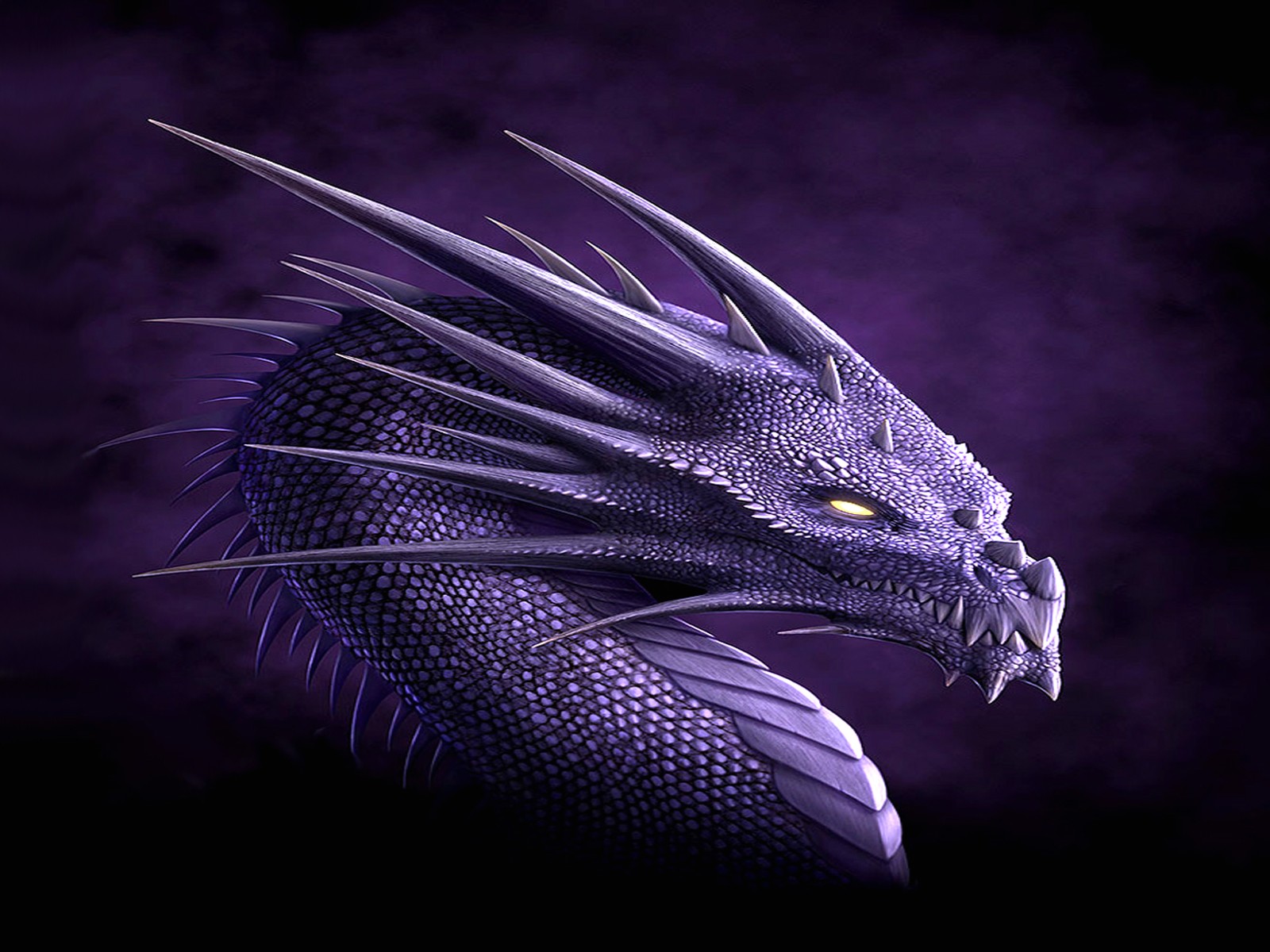 Download mobile wallpaper Purple, Fantasy, Dragon for free.