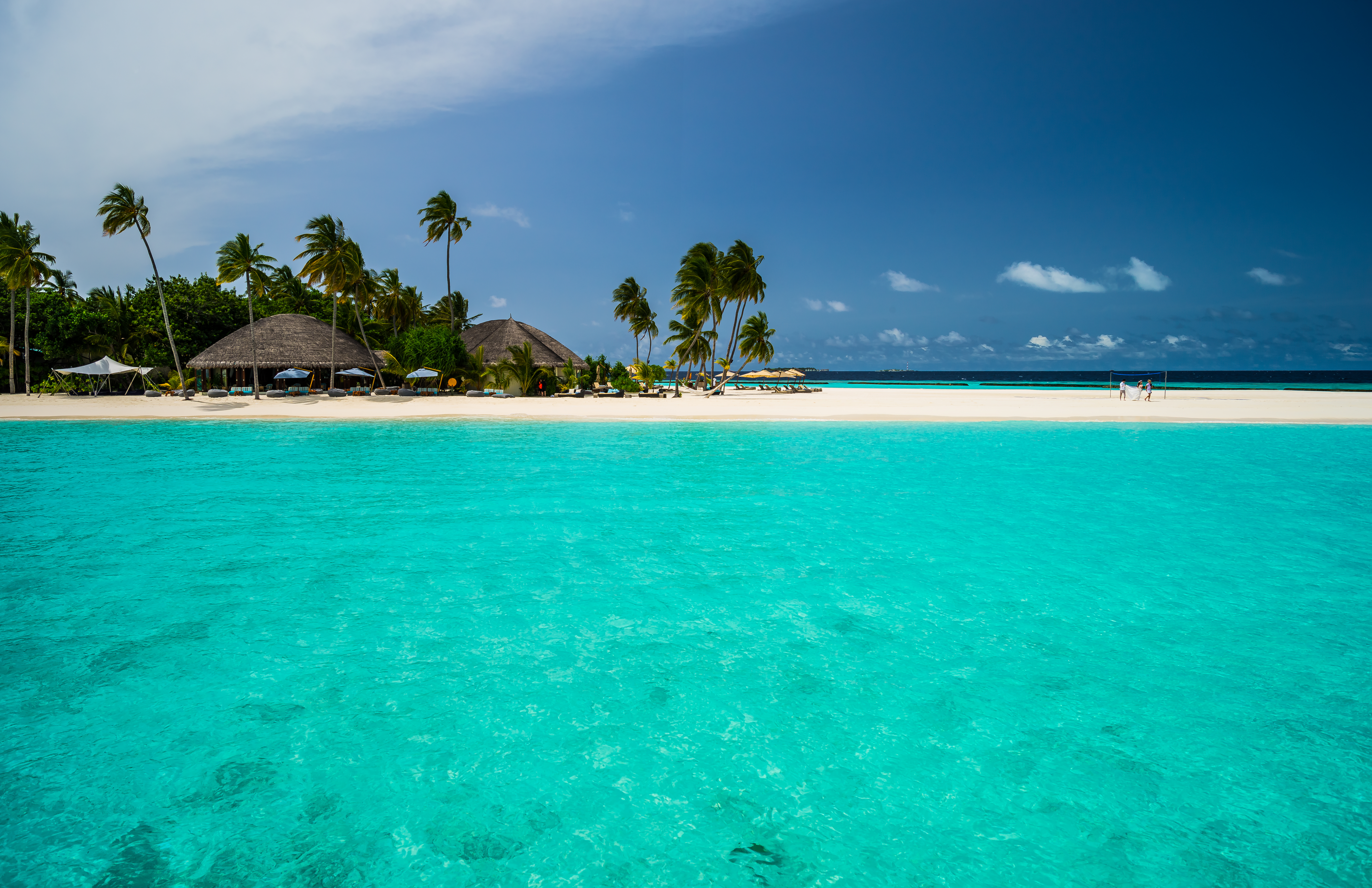 tropics, palm tree, maldives, photography, tropical, beach, constance halaveli resort, holiday HD wallpaper