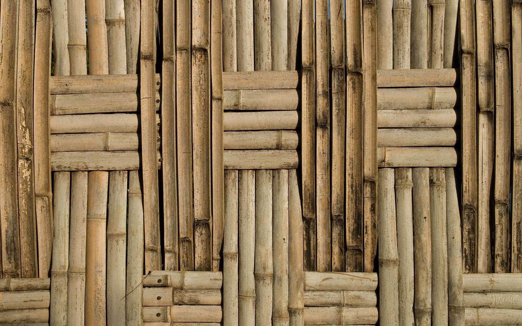 texture, textures, background, surface, bamboo, planks, board 1080p