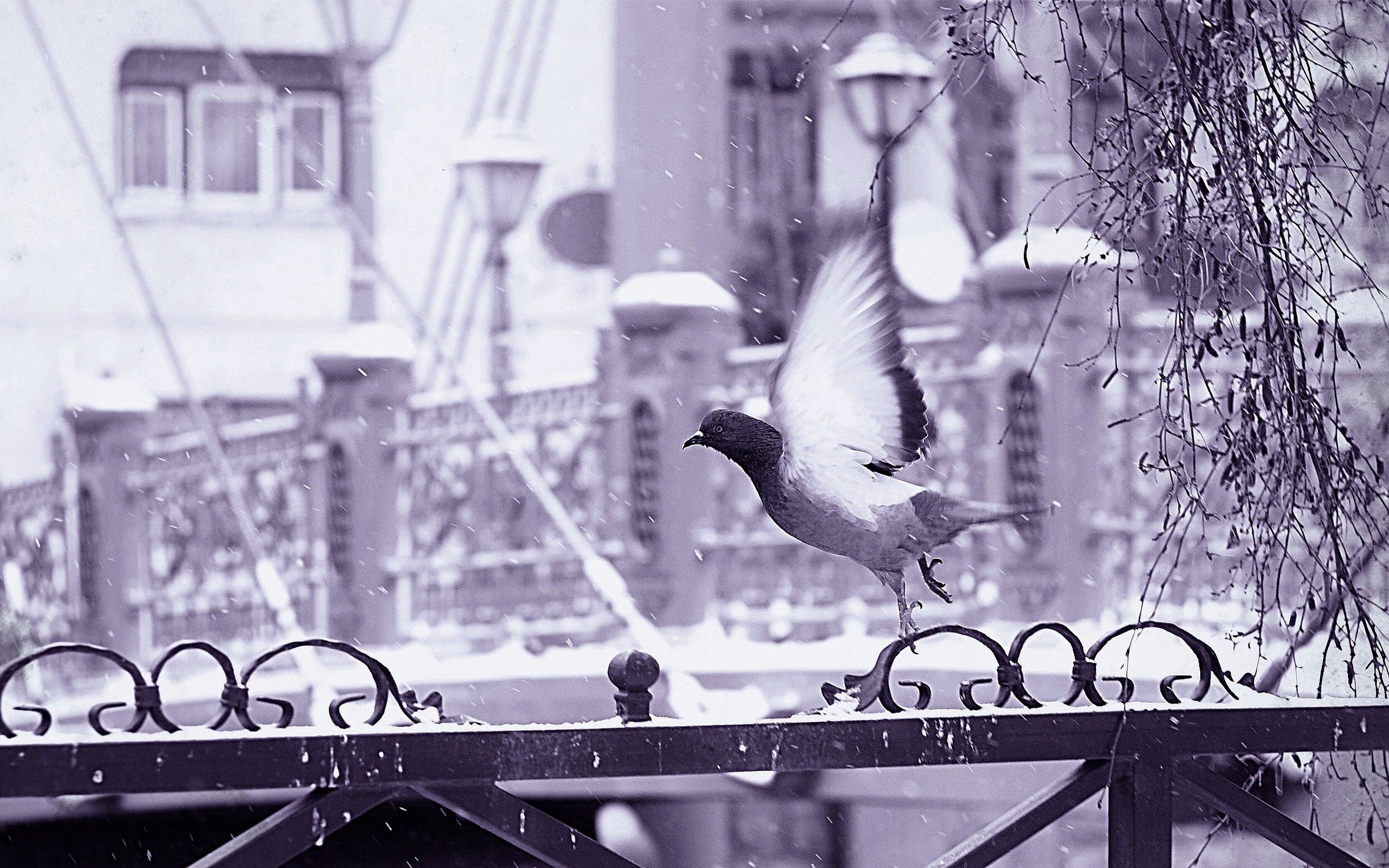Зимний пейзаж с птицей на заборе