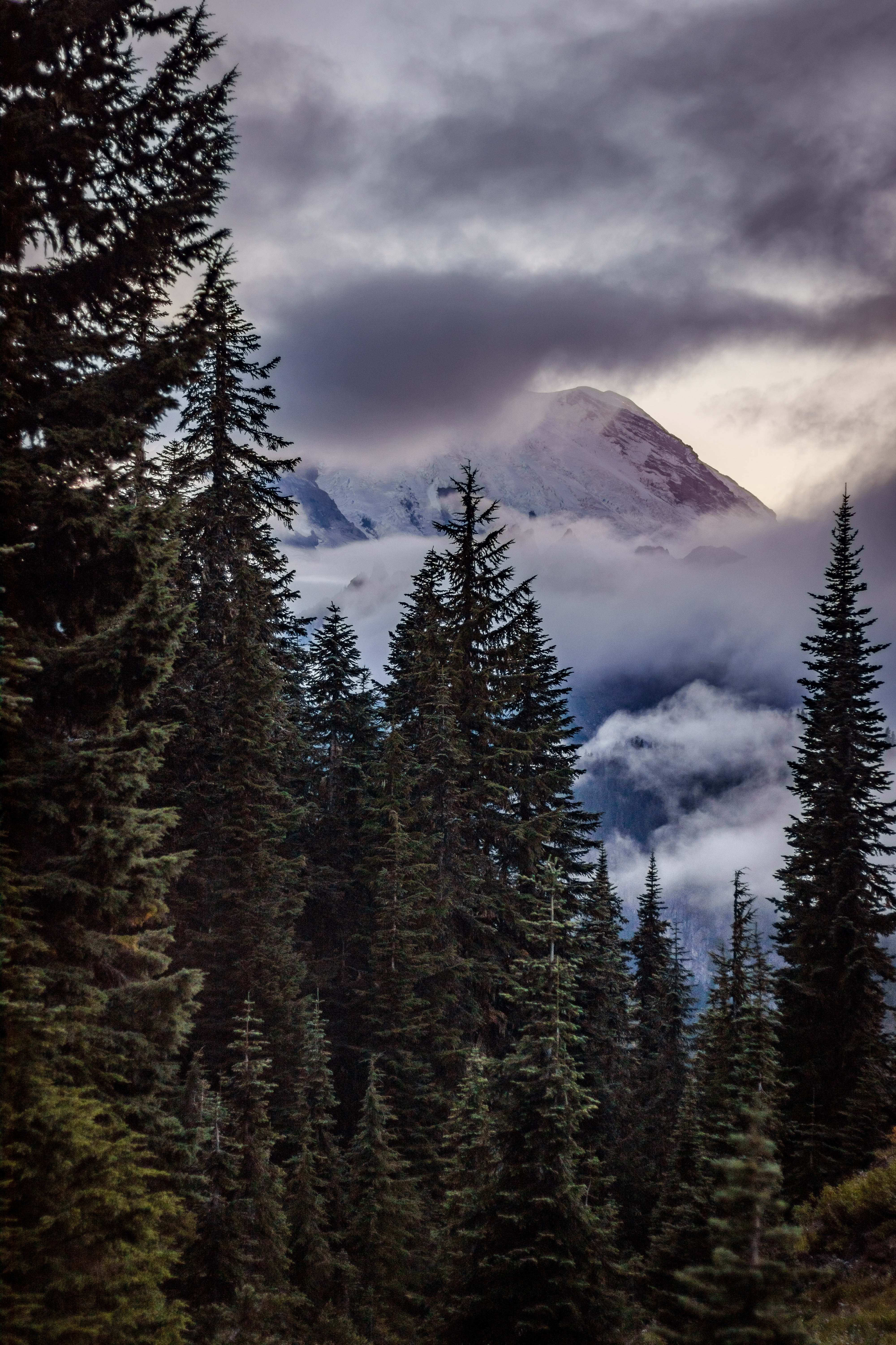 Laden Sie das Fir, Fichte, Natur, Sky, Clouds, Bäume, Mountains-Bild kostenlos auf Ihren PC-Desktop herunter