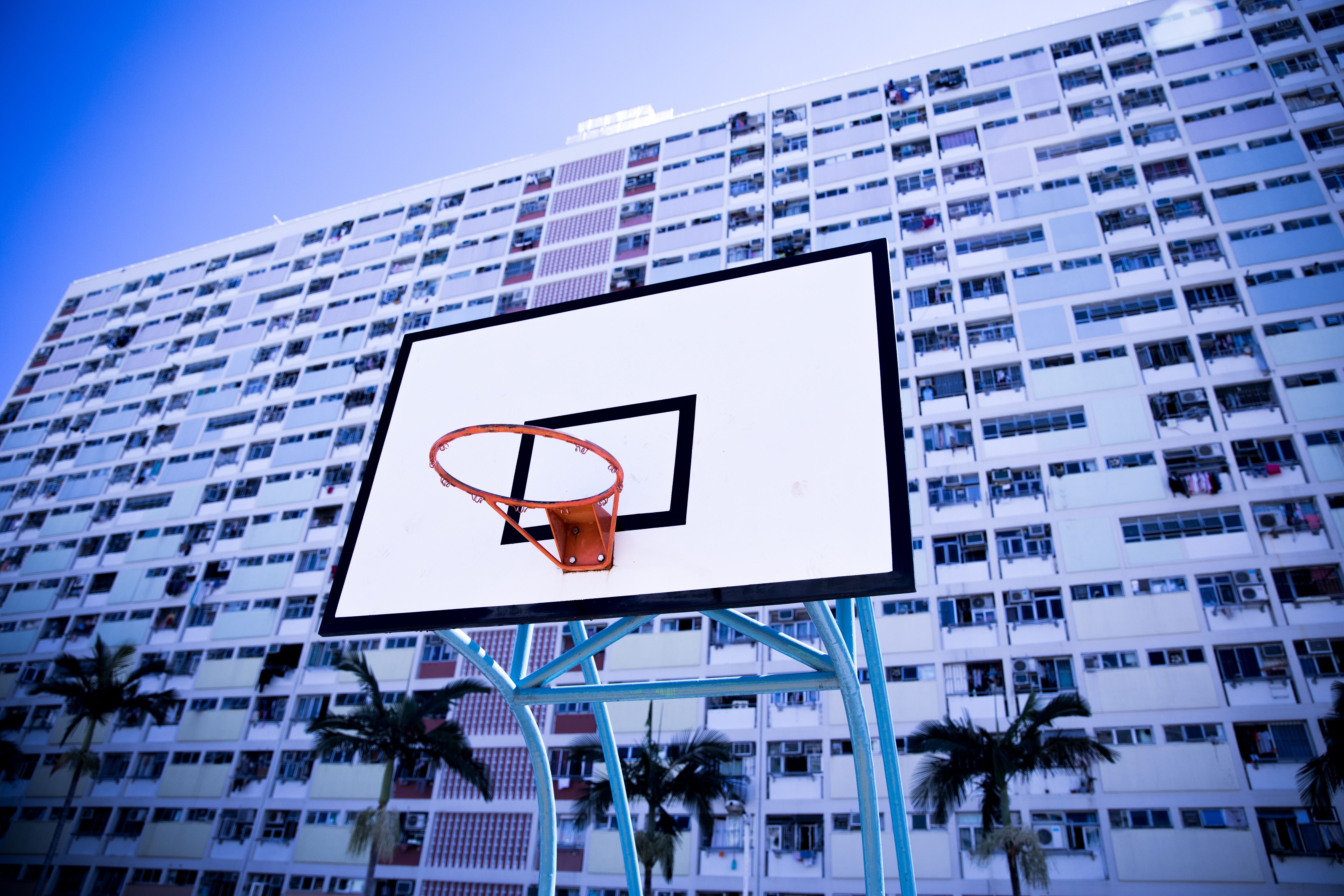sports, building, ring, basketball net, basketball grid