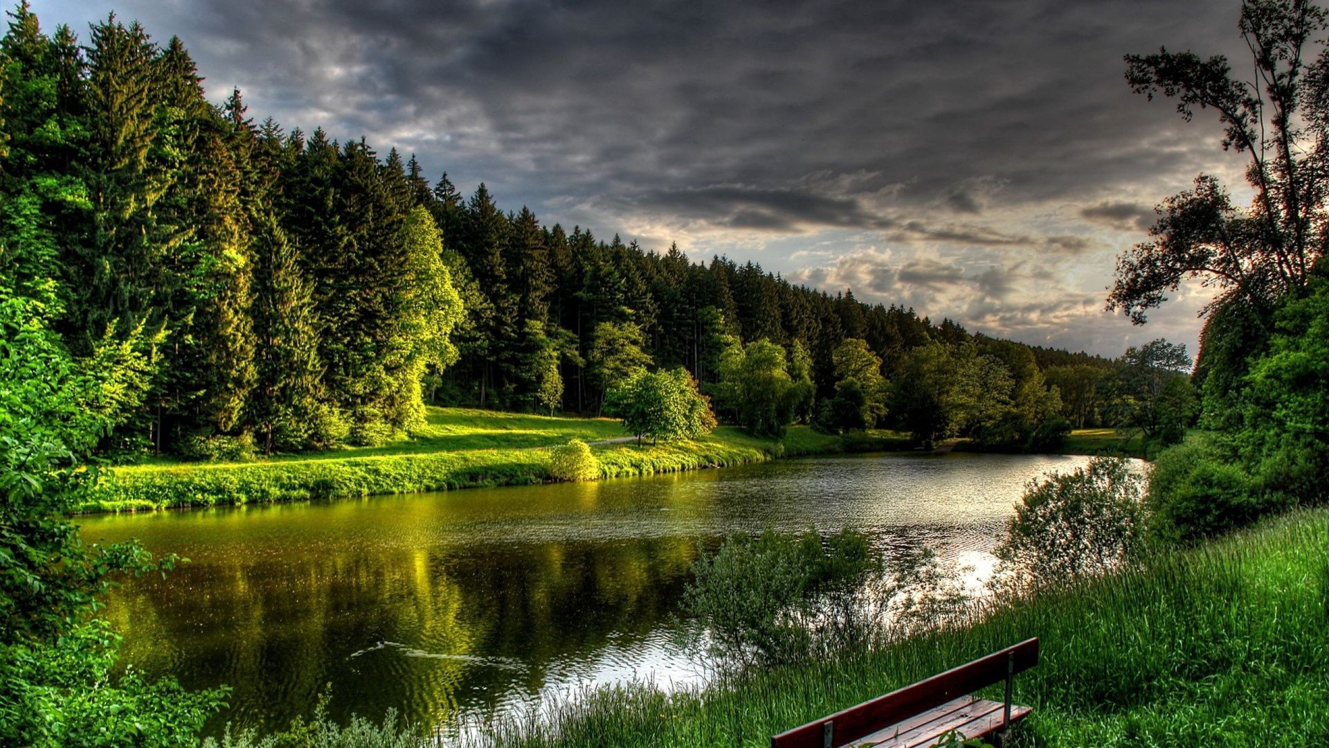 trees, rivers, nature, summer, bench download HD wallpaper