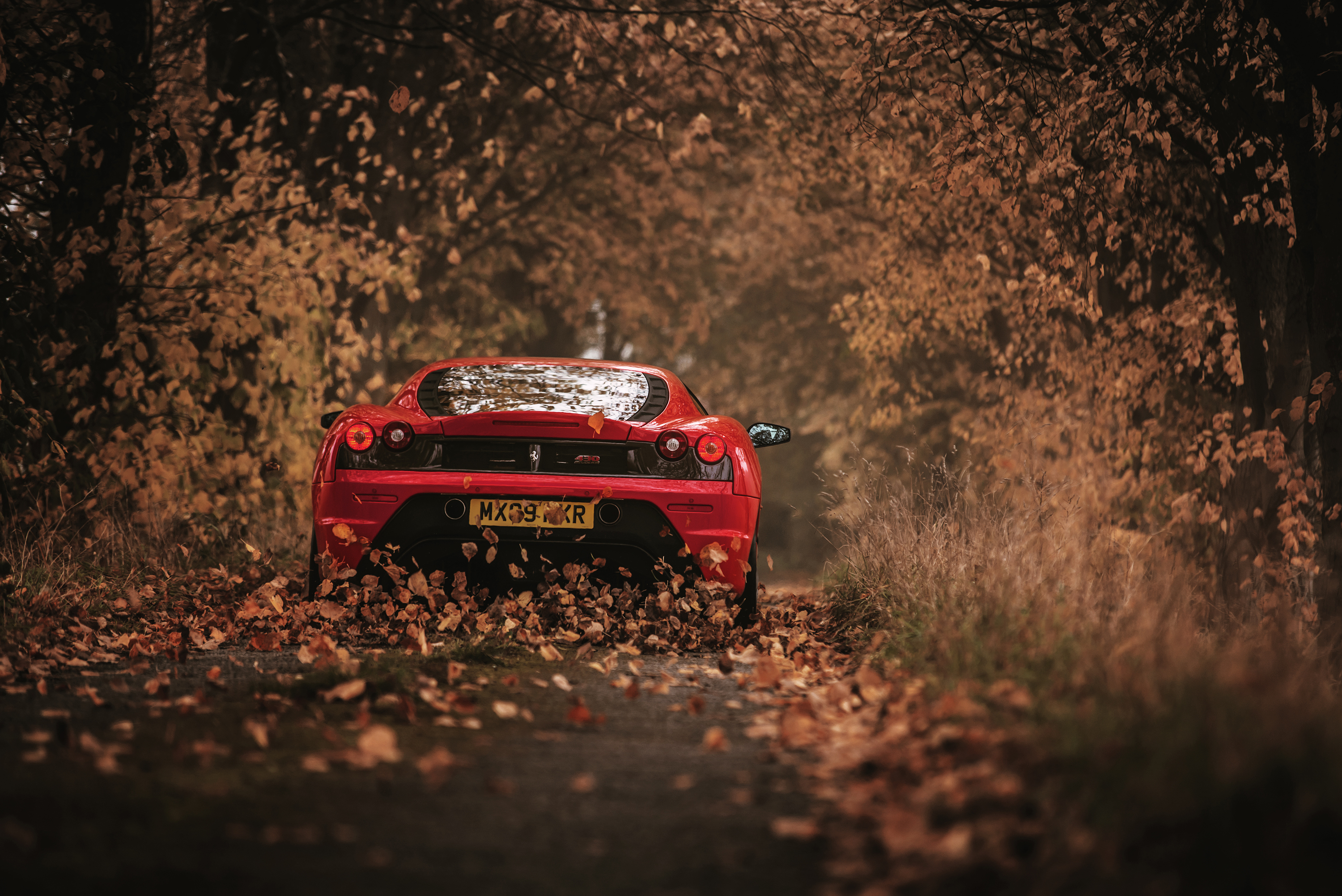 cars, ferrari, back view, autumn, rear view, red, racing, scuderia High Definition image