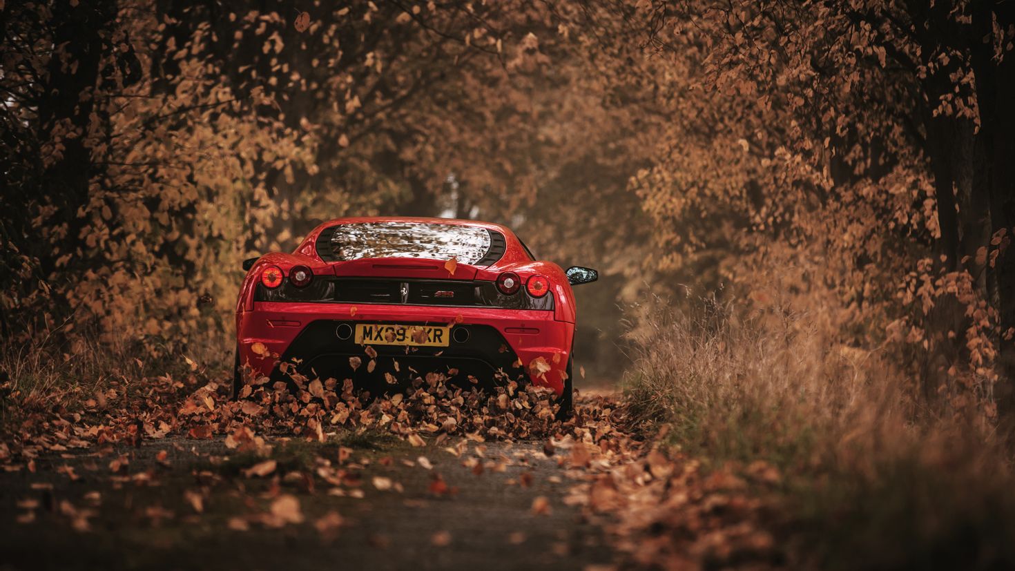 Porsche 911 autumn