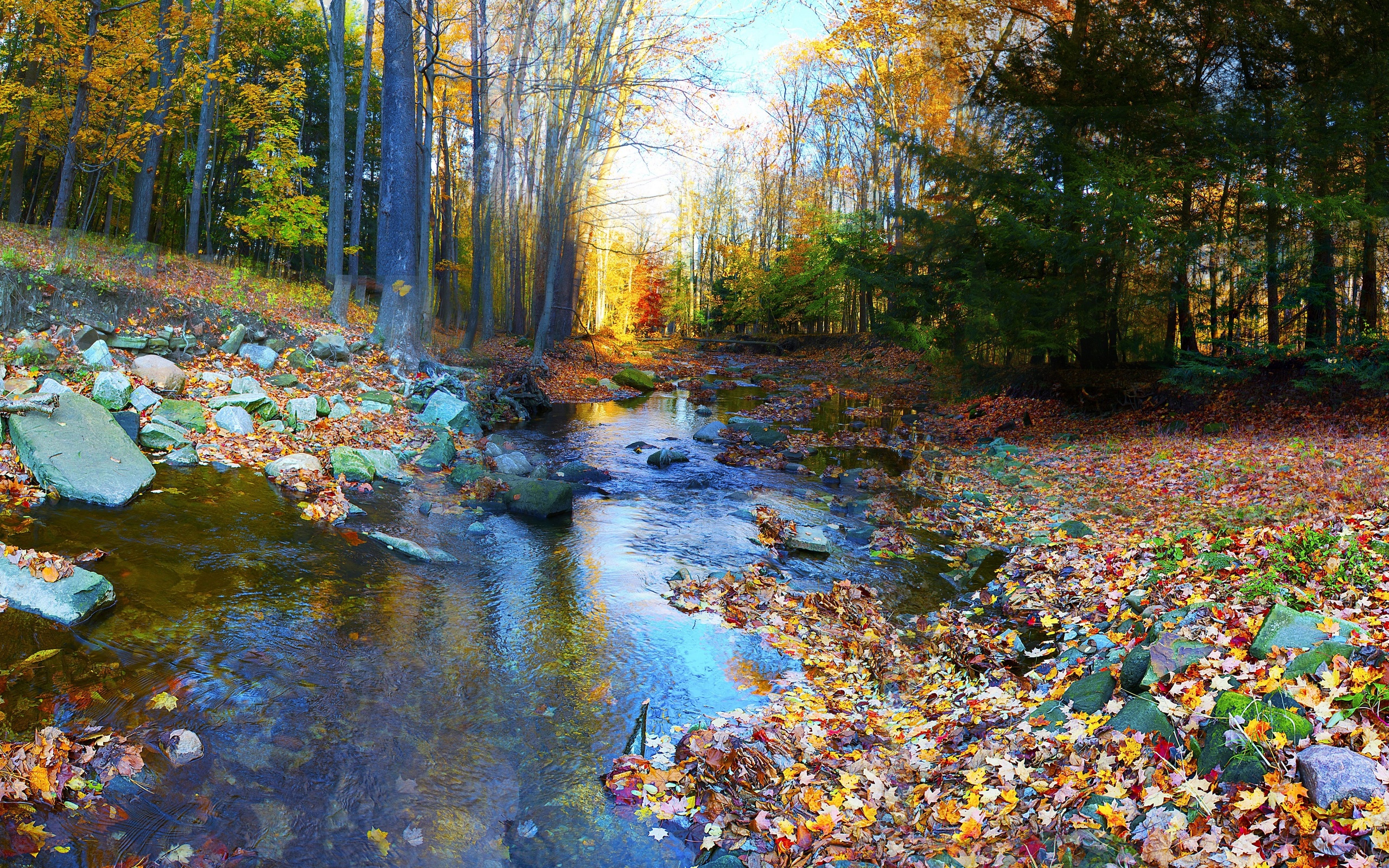 Речка в лесу осенью