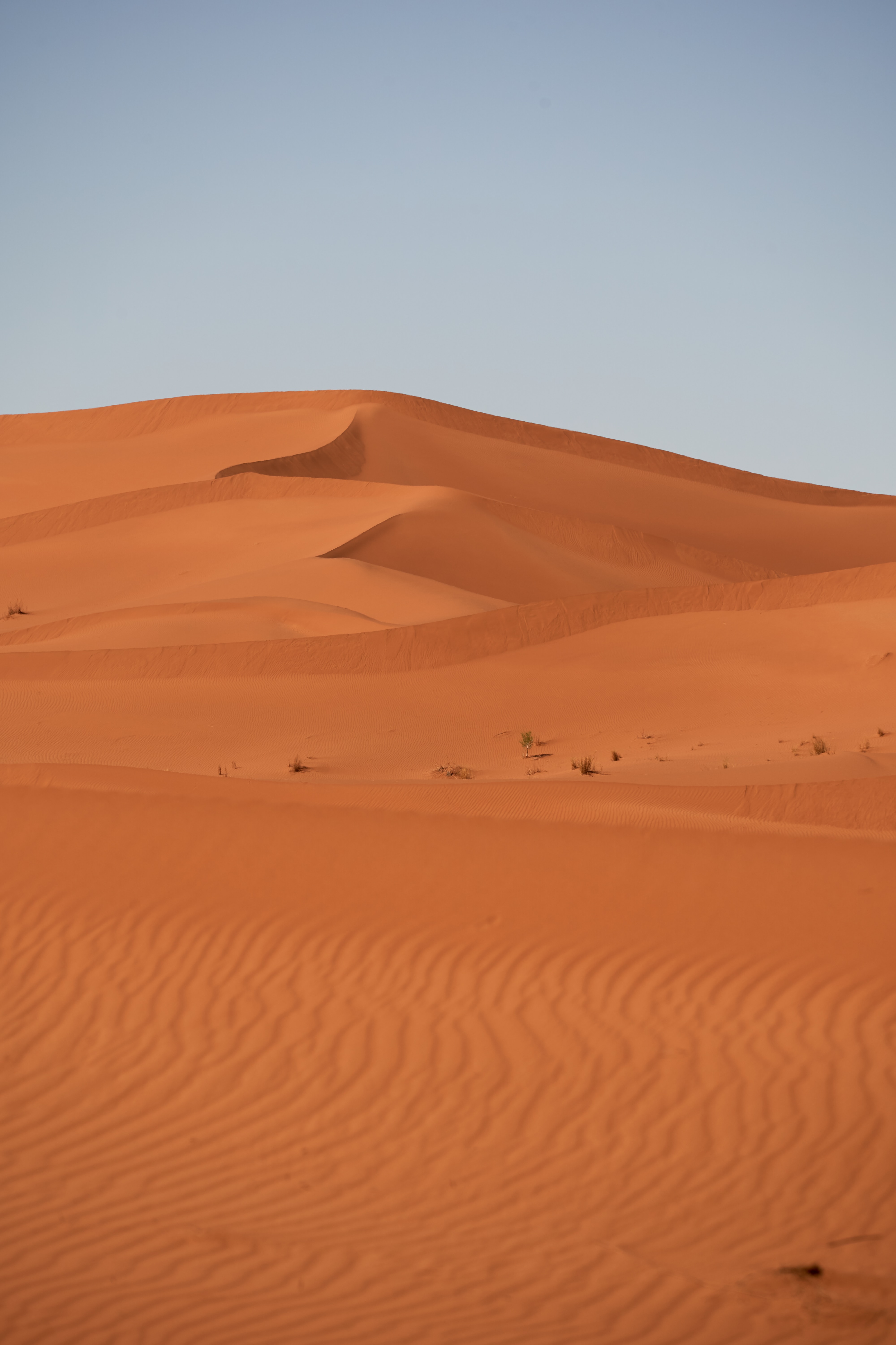 114648 télécharger le fond d'écran nature, sable, désert, colline, dunes, liens - économiseurs d'écran et images gratuitement