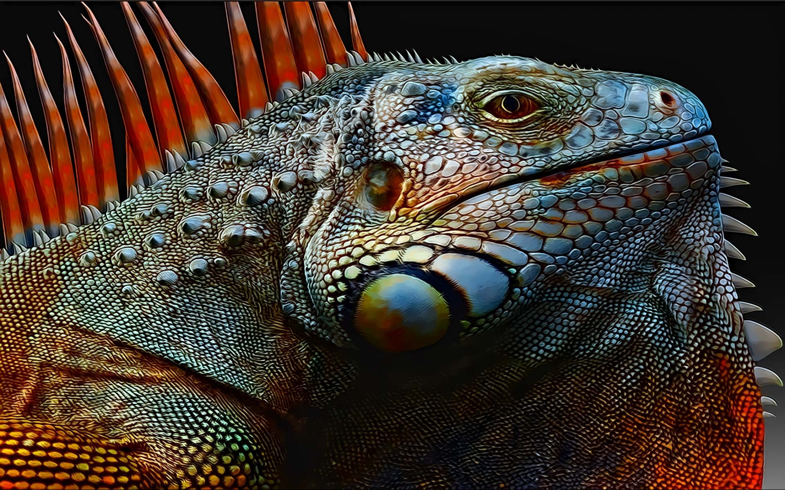278005 descargar imagen animales, iguana, reptiles: fondos de pantalla y protectores de pantalla gratis