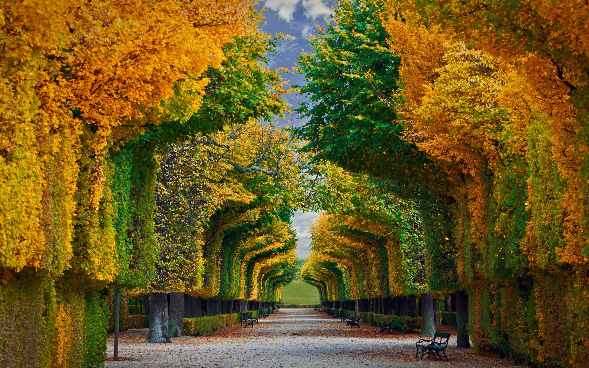 786080 免費下載壁紙 人造, 花园, 奥地利, 秋季, 美泉宫花园, 树, 维也纳 屏保和圖片