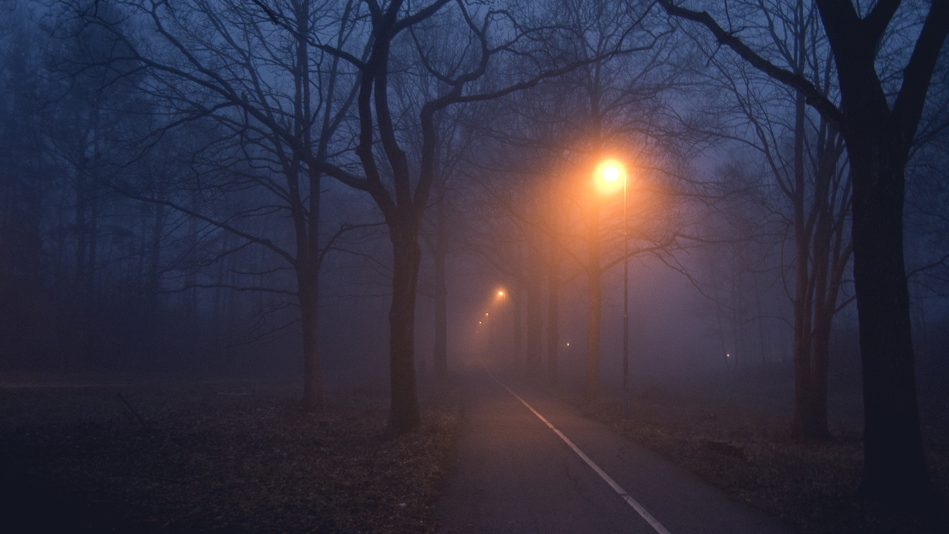 Дорога ночь туман
