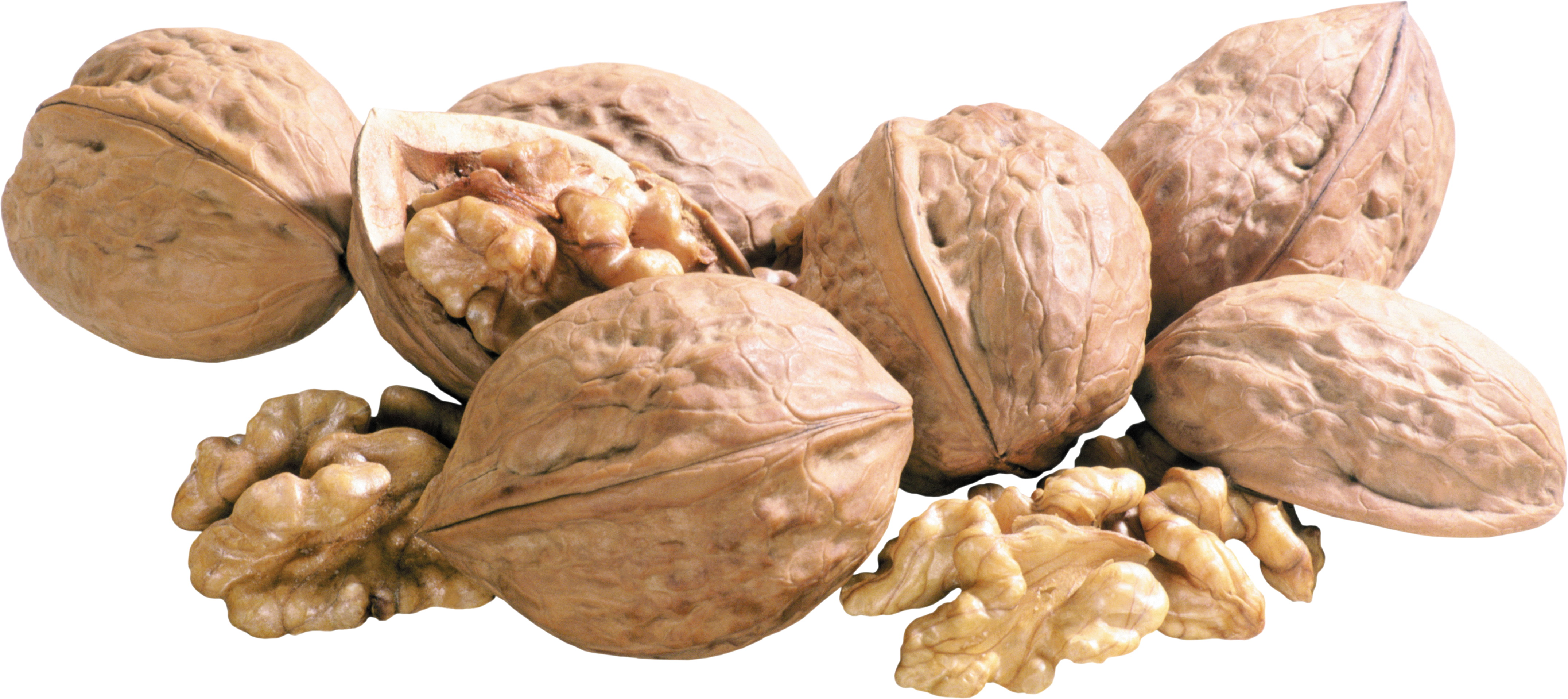 food, walnut