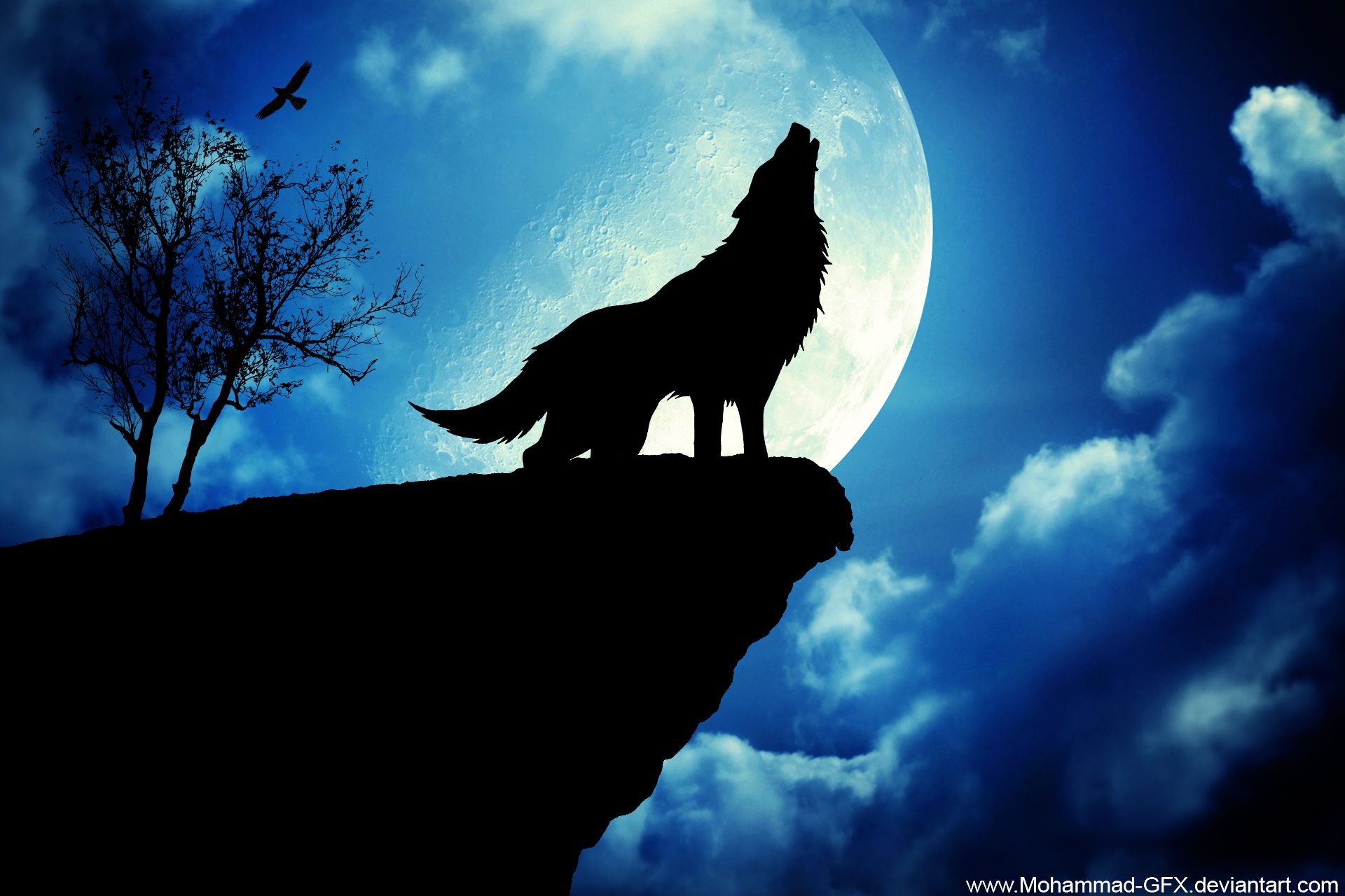 Волк пытающийся съесть луну. Волк воет на луну. Волк и Луна. Воющий волк. Волк в ночи.