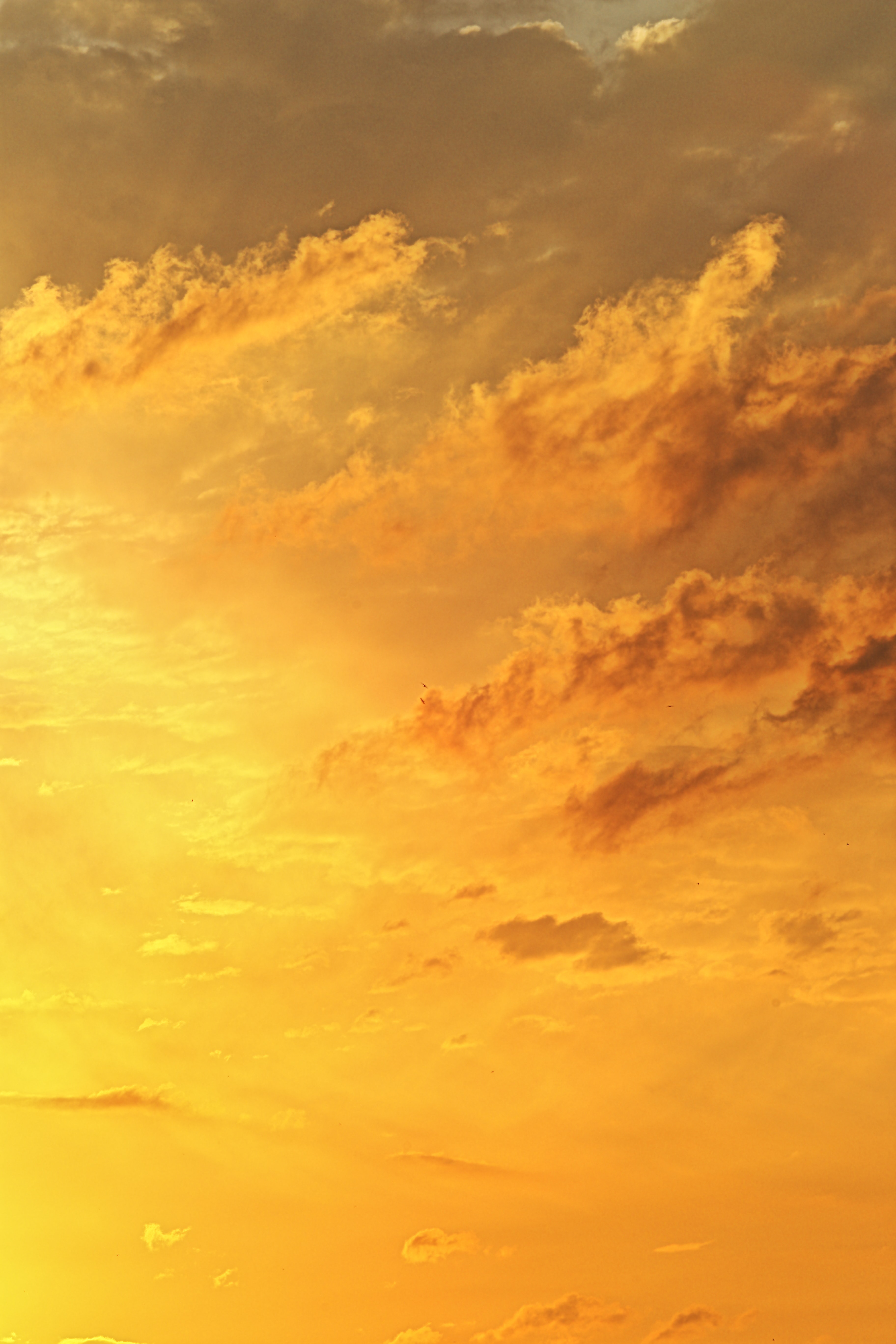 151236壁紙のダウンロード自然, 日没, スカイ, 雲, 綺麗な, 美しい-スクリーンセーバーと写真を無料で