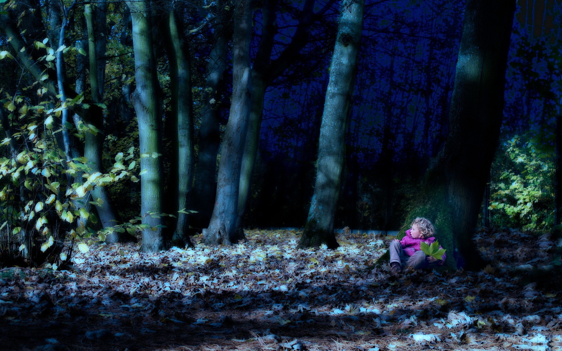 Одиночество в лесу