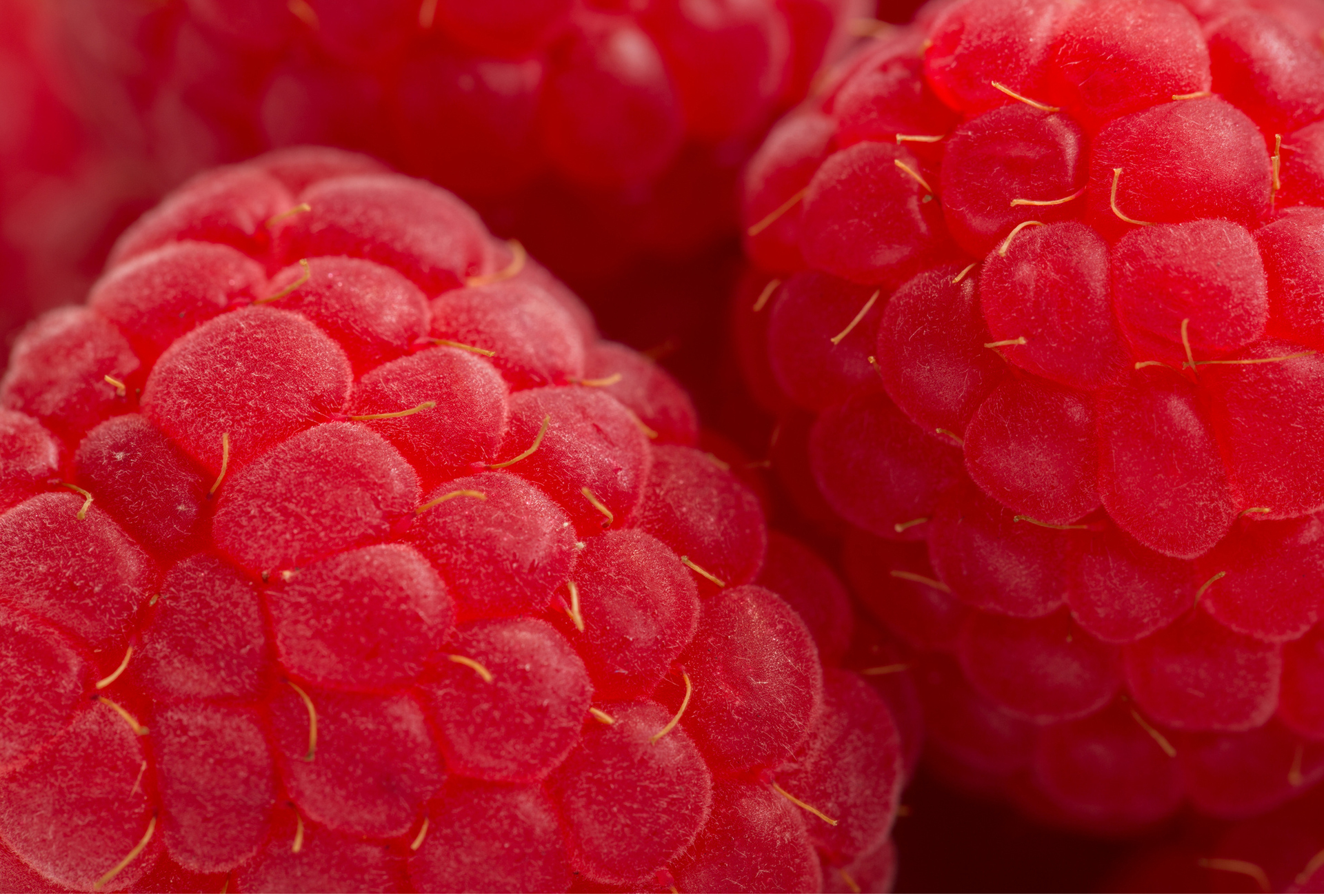 food, raspberry, fruits HD wallpaper