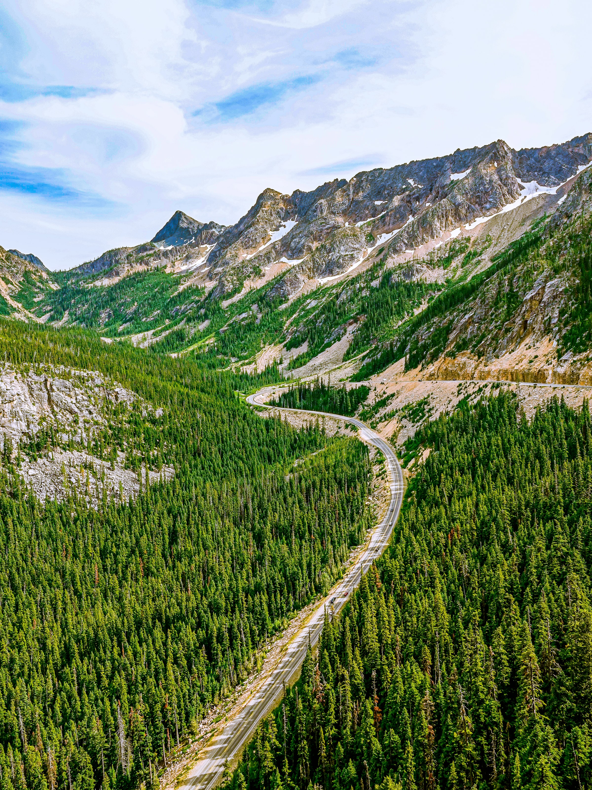 vertical wallpaper forest, nature, mountains, road, spruce, fir, winding, sinuous