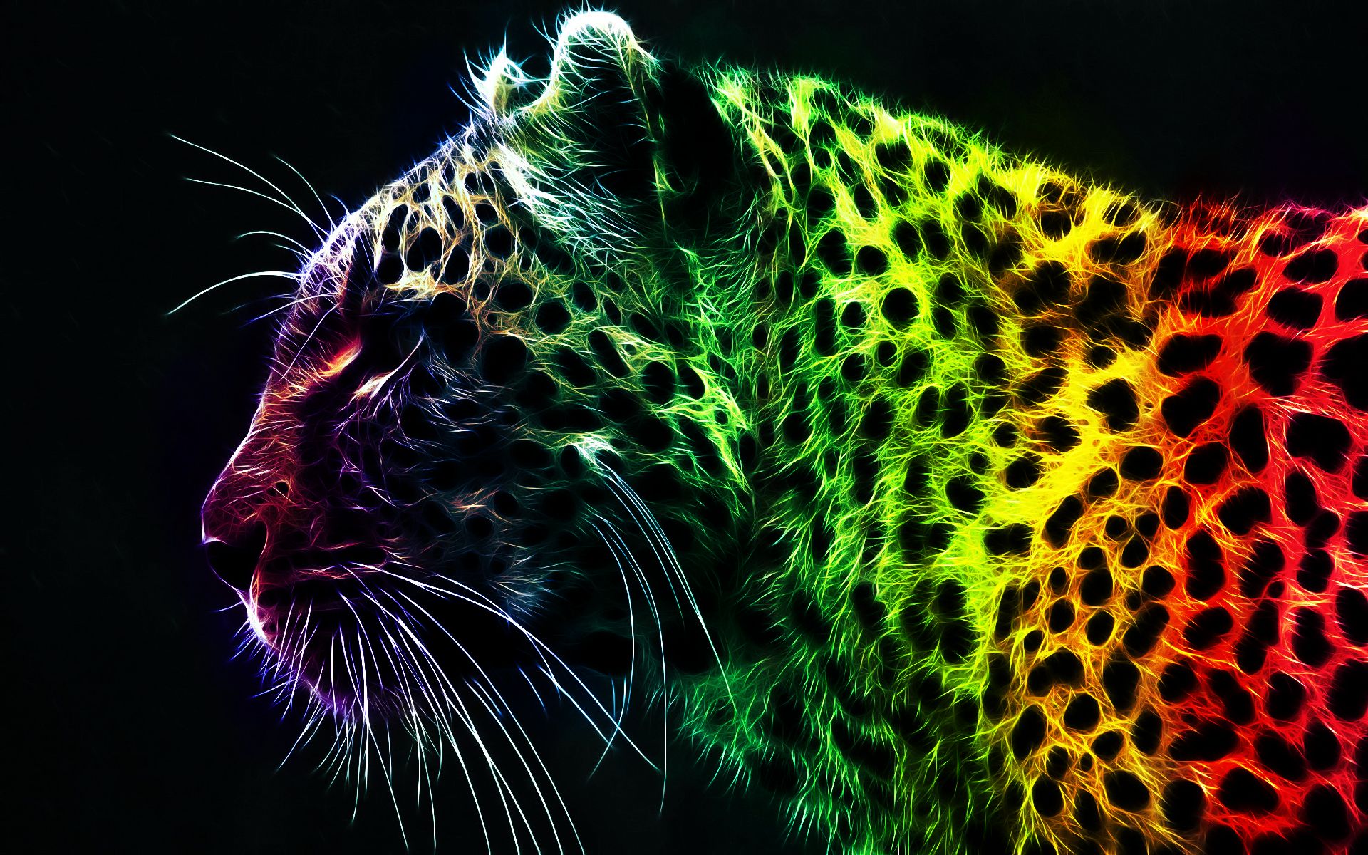 230563 baixar imagens animais, leopardo, gatos - papéis de parede e protetores de tela gratuitamente