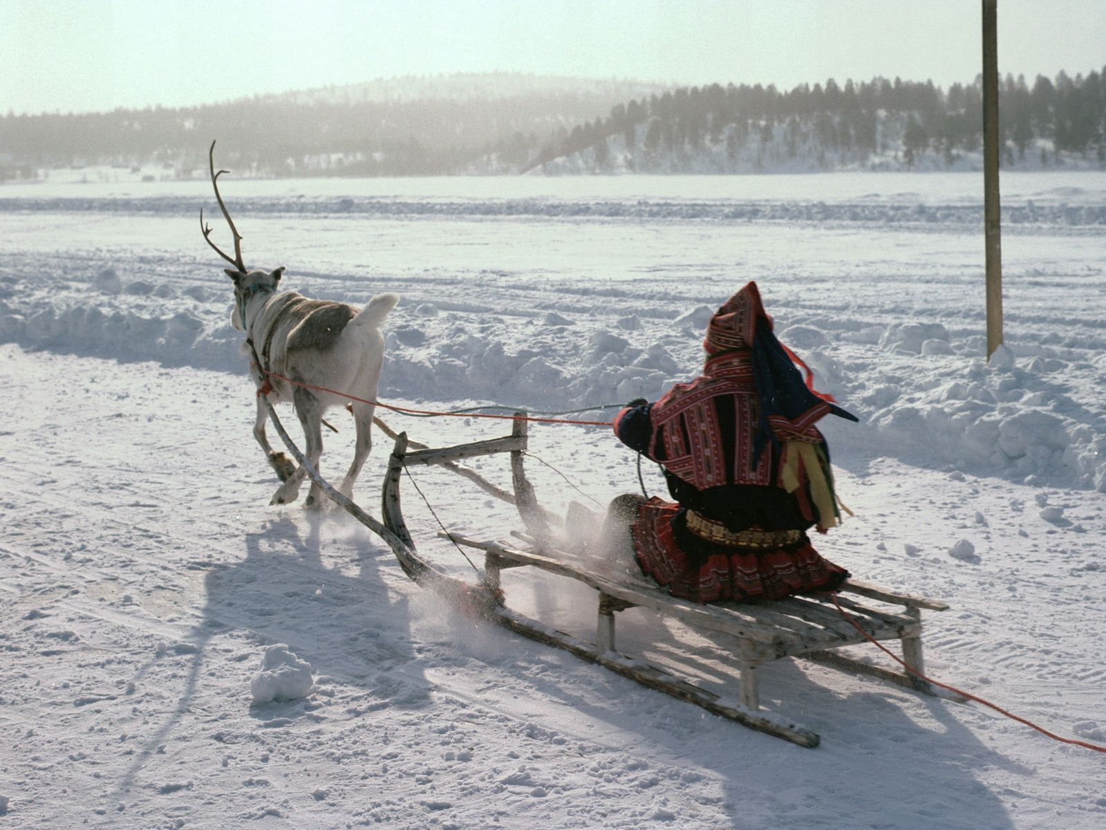 Laden Sie das Natur, Schlitten, Nordpol, Eskimo, Schnee, Hirsch, Transport-Bild kostenlos auf Ihren PC-Desktop herunter
