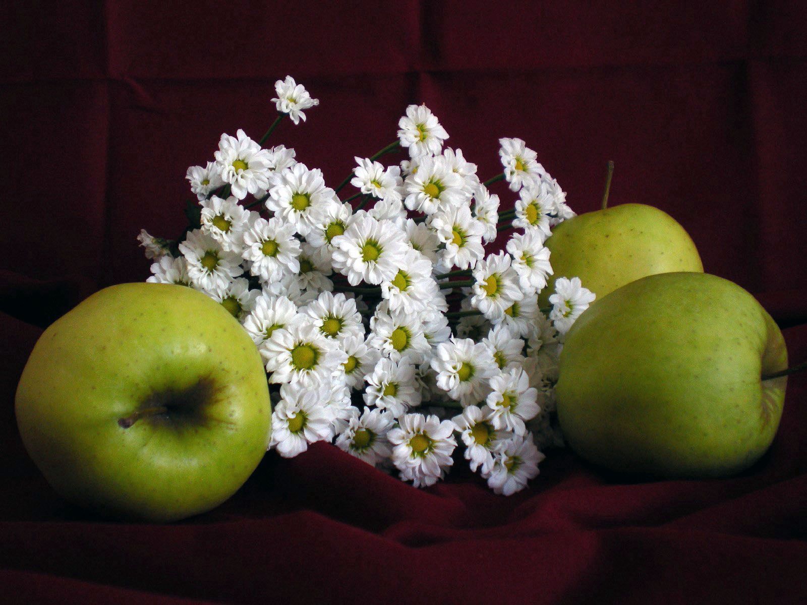 apples, fruits, flowers, food, camomile
