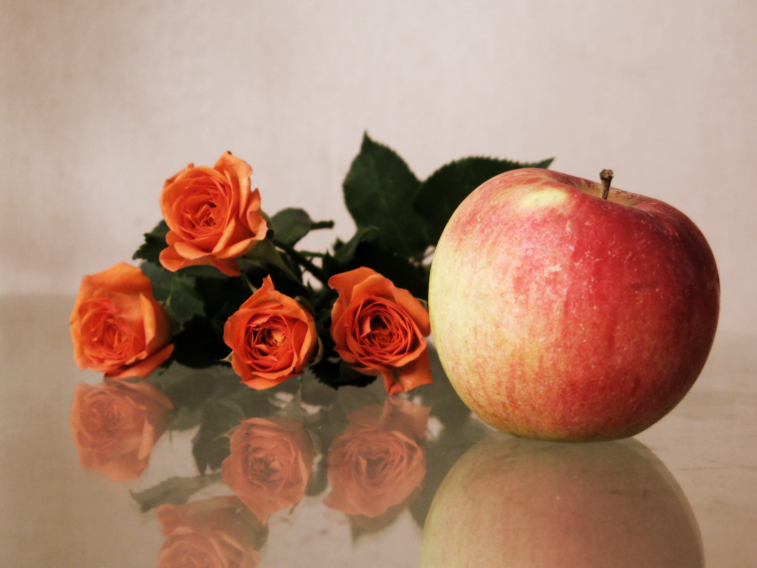 Handy-Wallpaper Reflexion, Apfel, Blumen, Bouquet, Strauß, Roses kostenlos herunterladen.