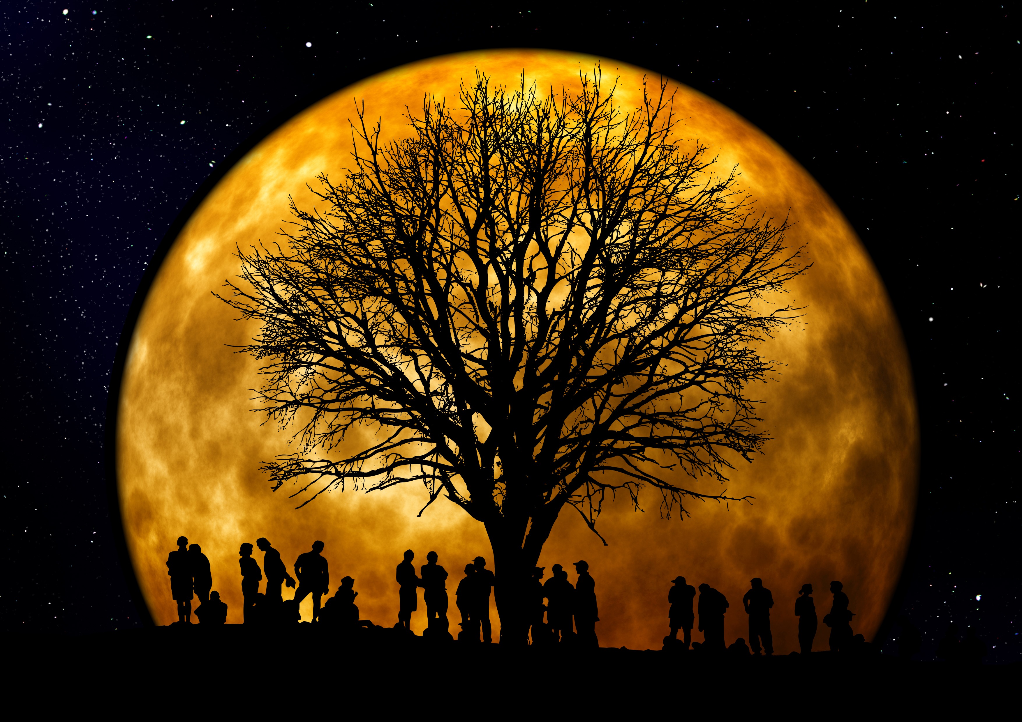 1920x1080 Background silhouettes, vector, people, night, moon, wood, tree