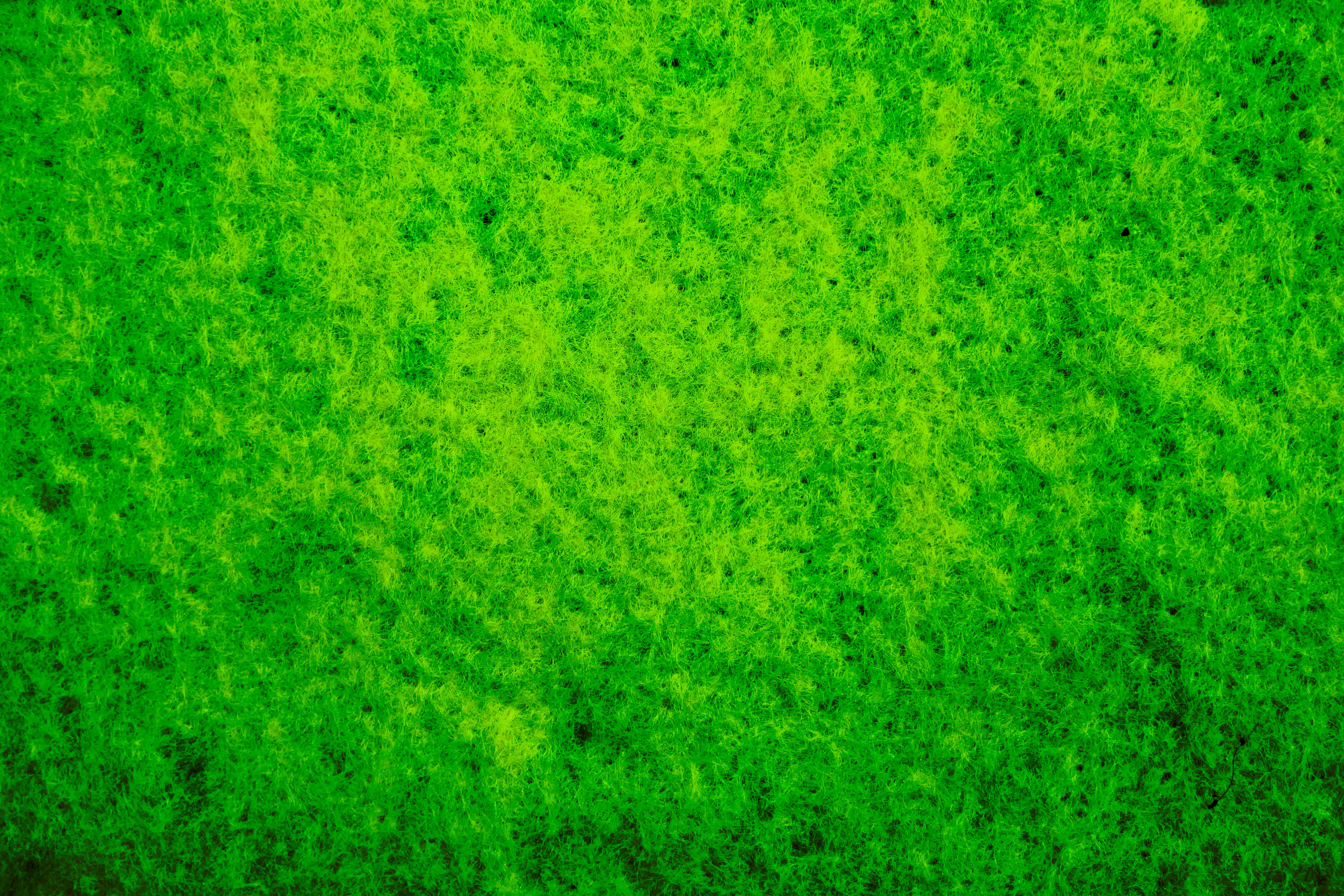 Download mobile wallpaper Macro, Moss, Texture, Textures for free.
