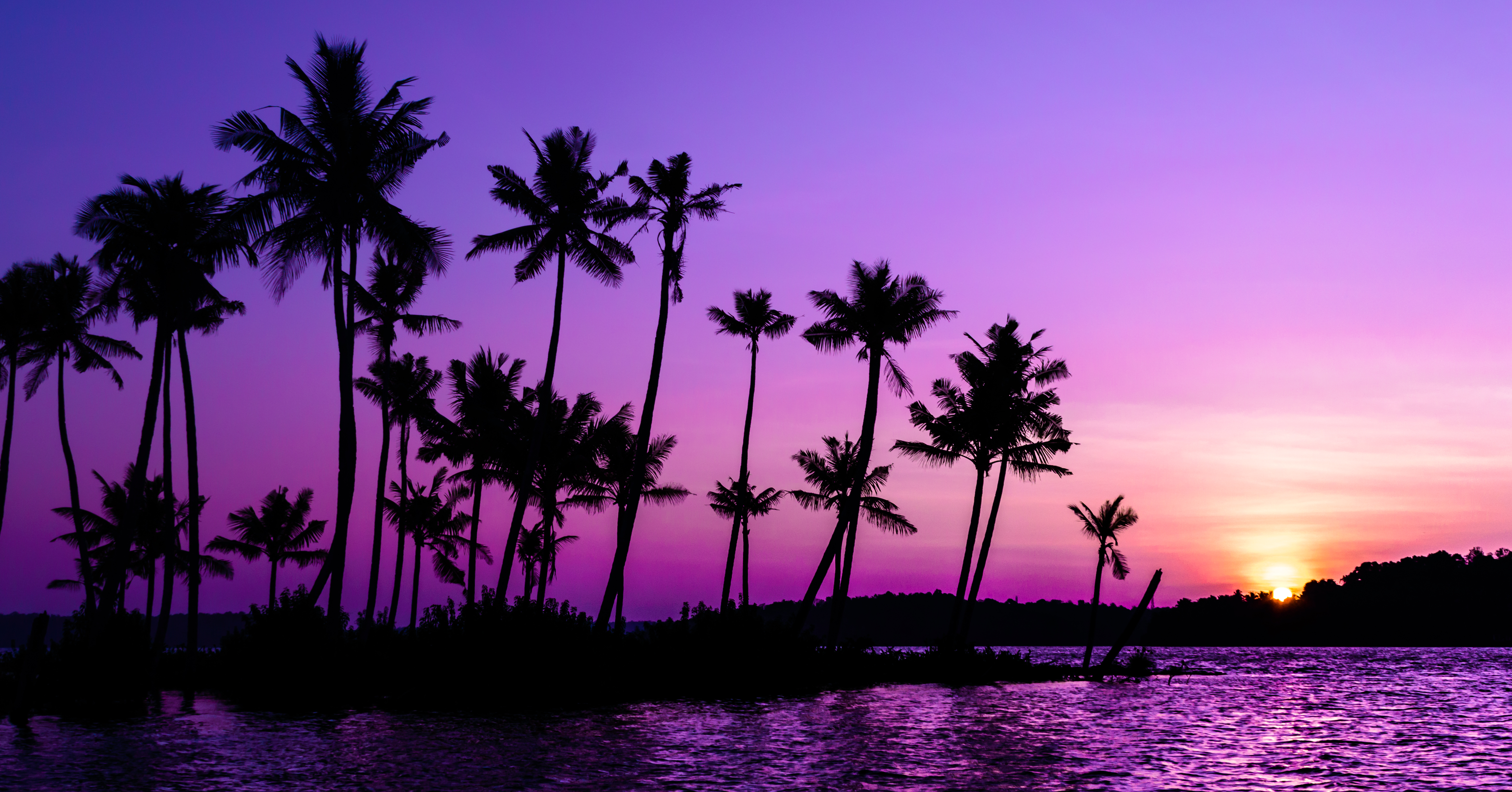 violet, purple, nature, sunset, palms, silhouette lock screen backgrounds