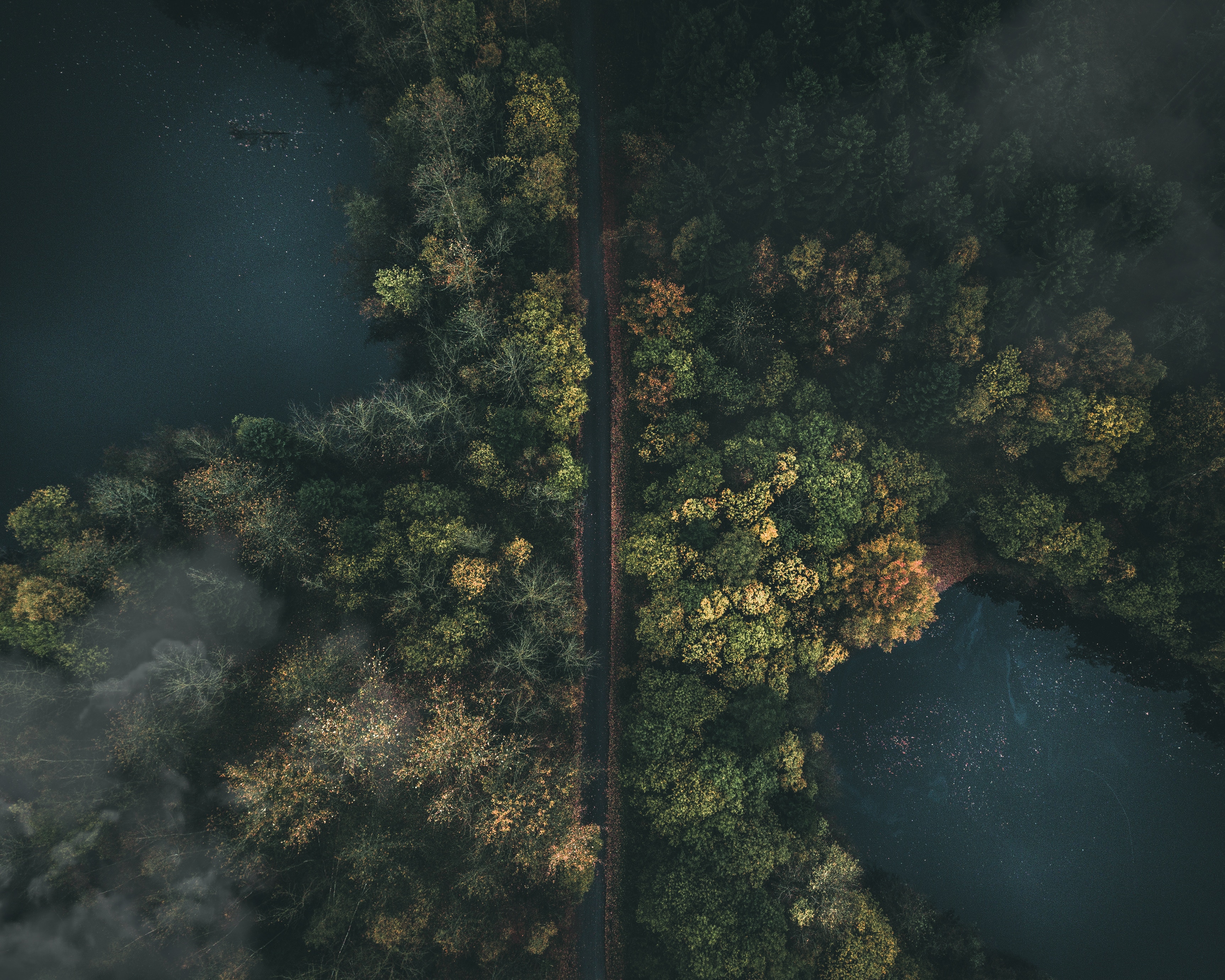 view from above, nature, road, forest, fog Desktop home screen Wallpaper