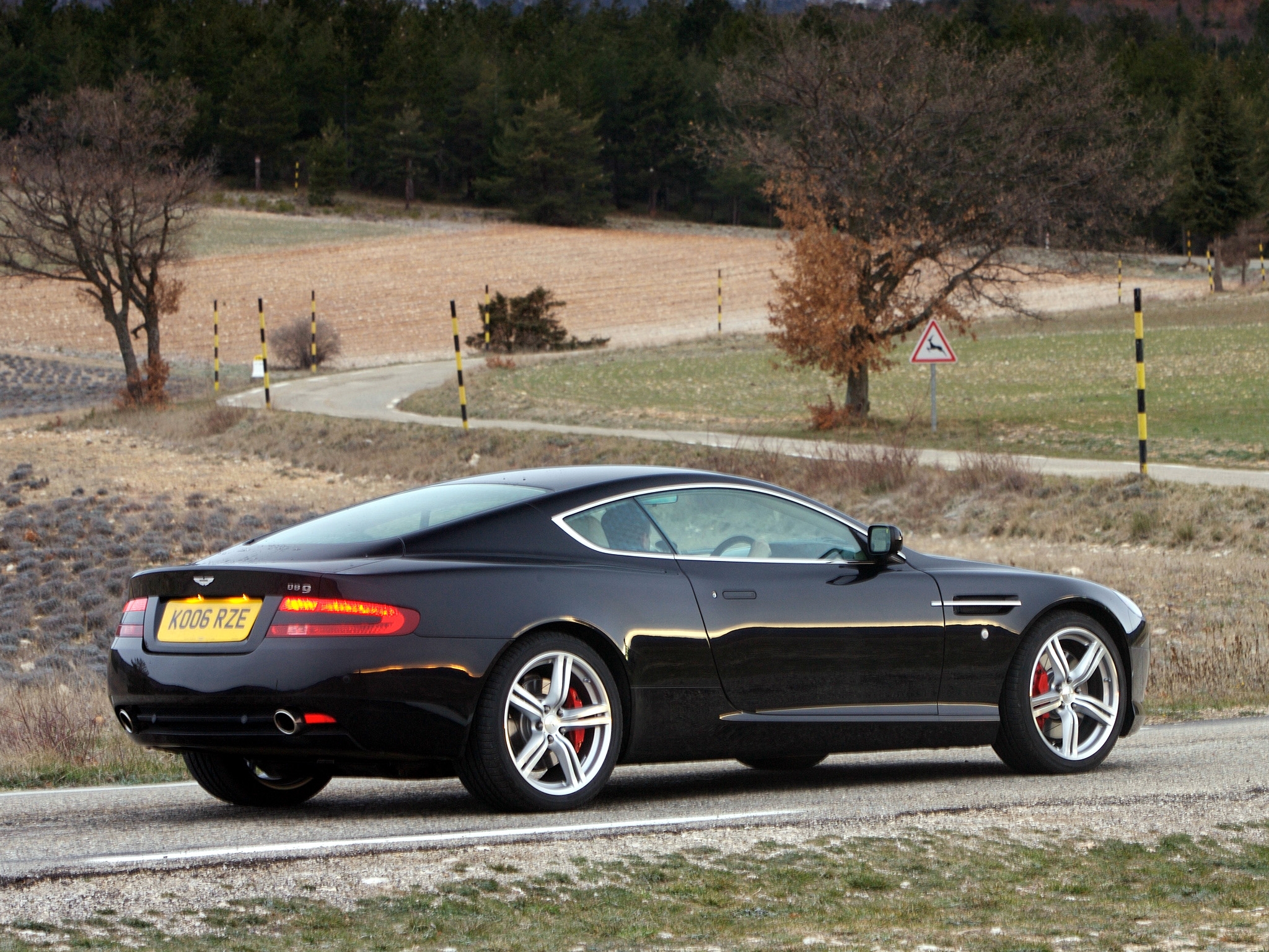black, sports, auto, nature, trees, aston martin, cars, side view, style, db9, 2006