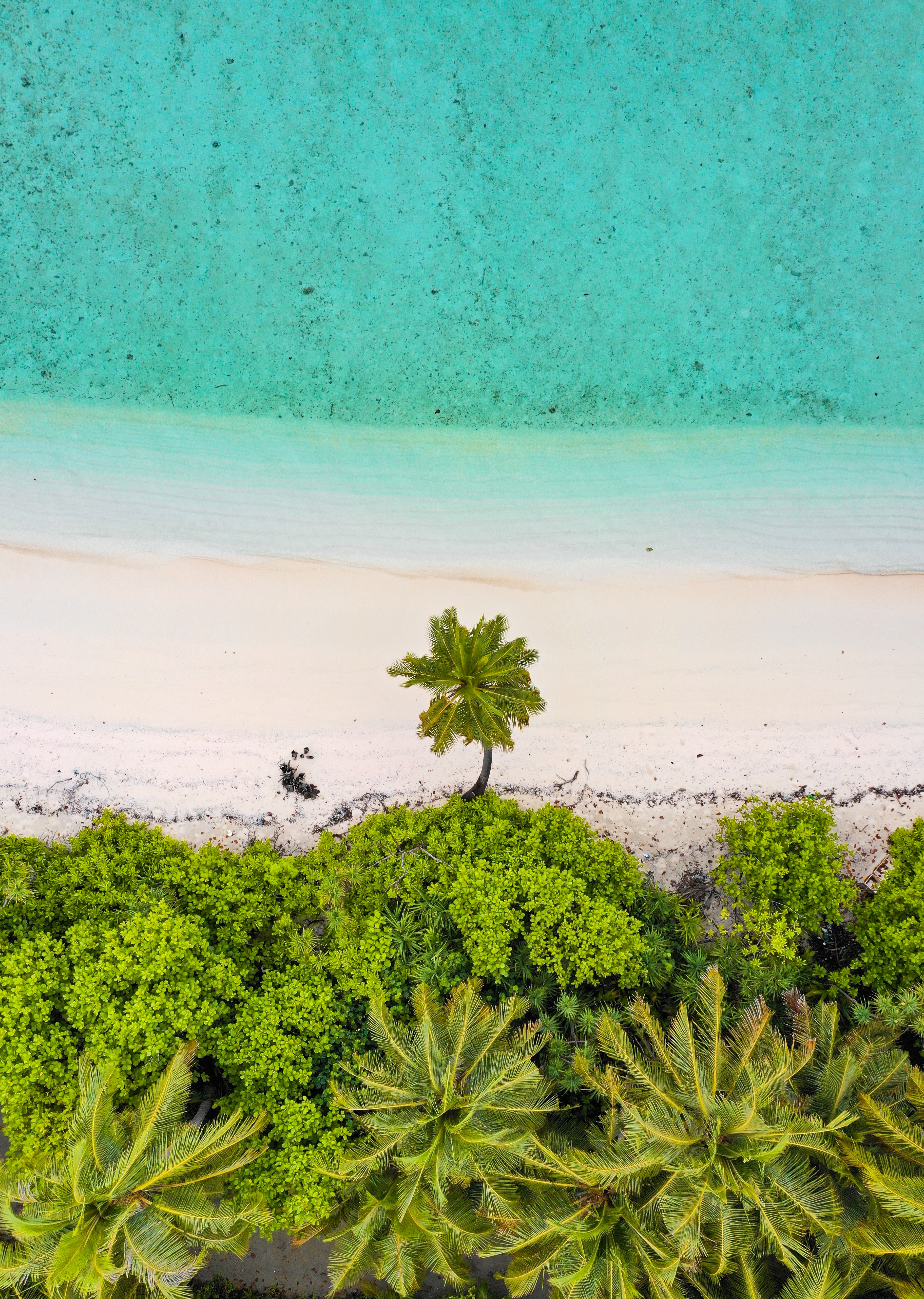 Handy-Wallpaper Blick Von Oben, Natur, Sea, Palms, Sand, Strand kostenlos herunterladen.