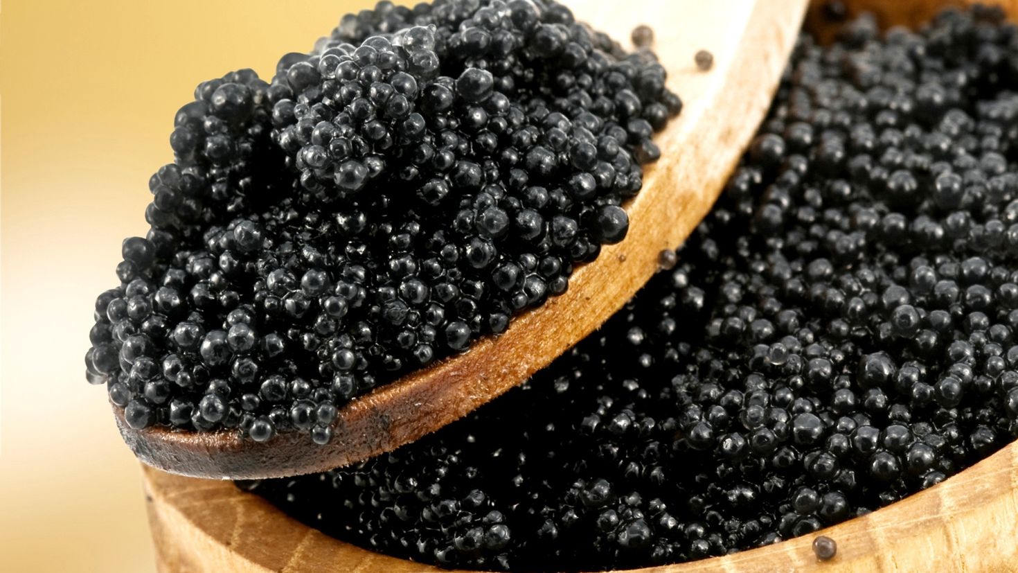 Caviar