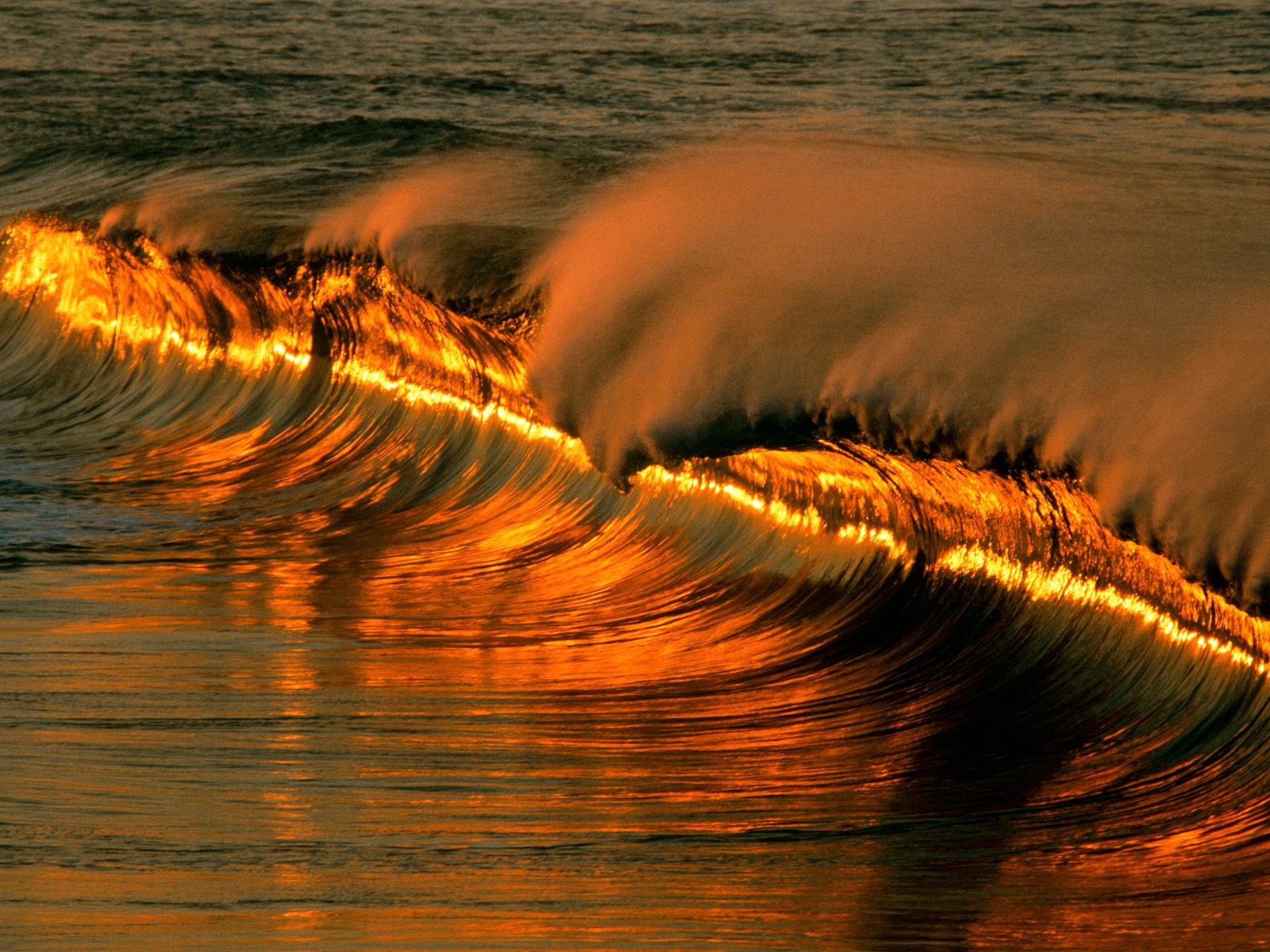 nature, golden, earth, wave, ocean Phone Background