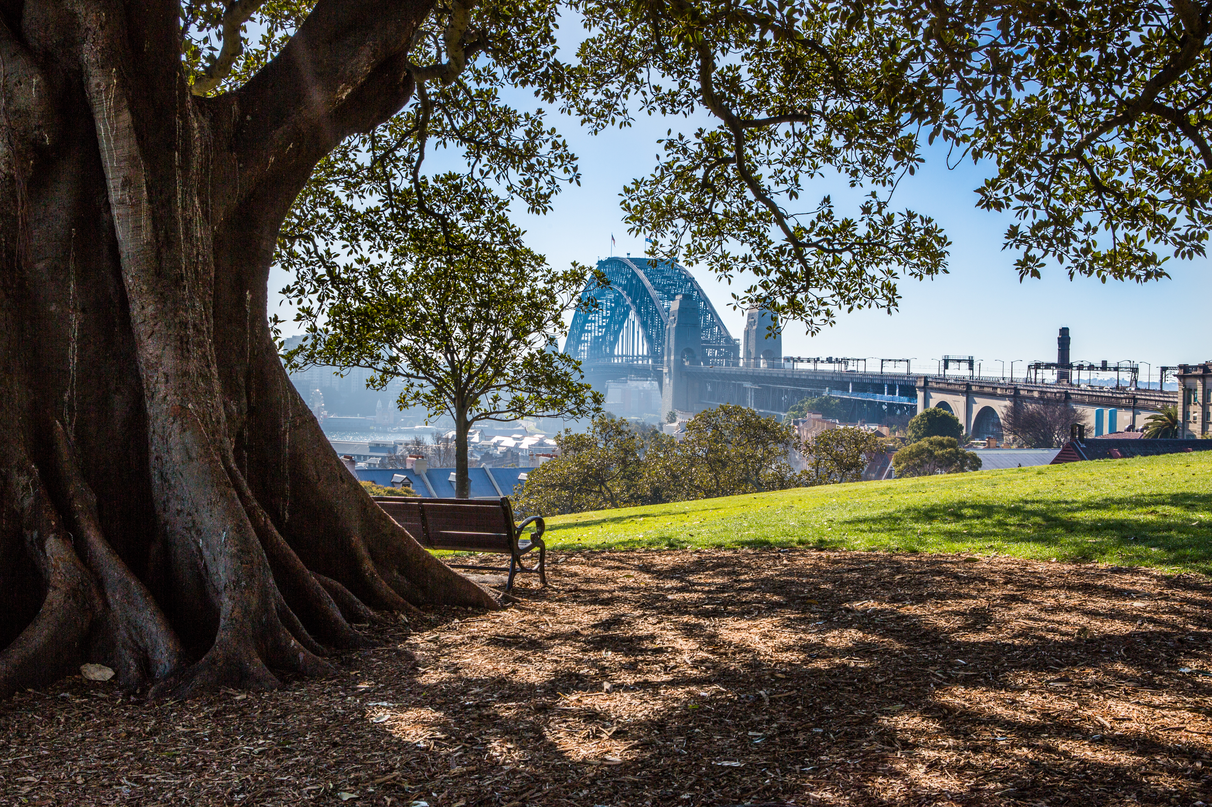 australia, sydney, man made, architecture, bench, city, sydney harbour bridge, tree, cities 5K