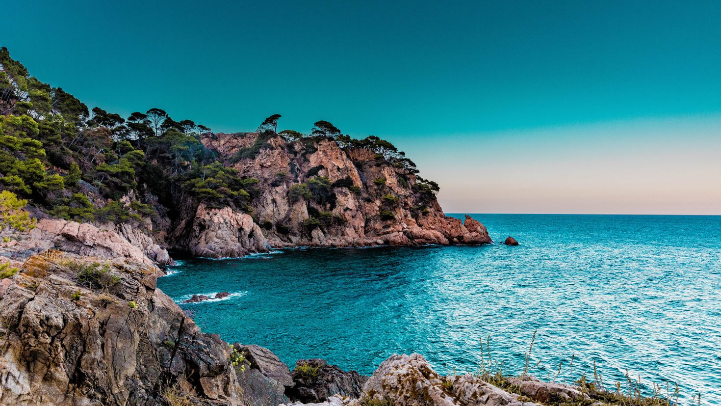 Море скалы сосны Лазурный берег Франции
