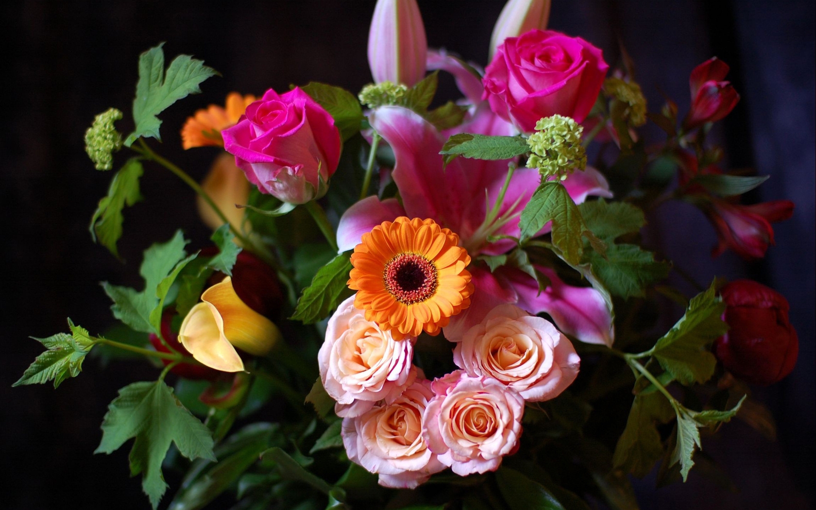 Handy-Wallpaper Blumen, Tiere, Bouquets kostenlos herunterladen.