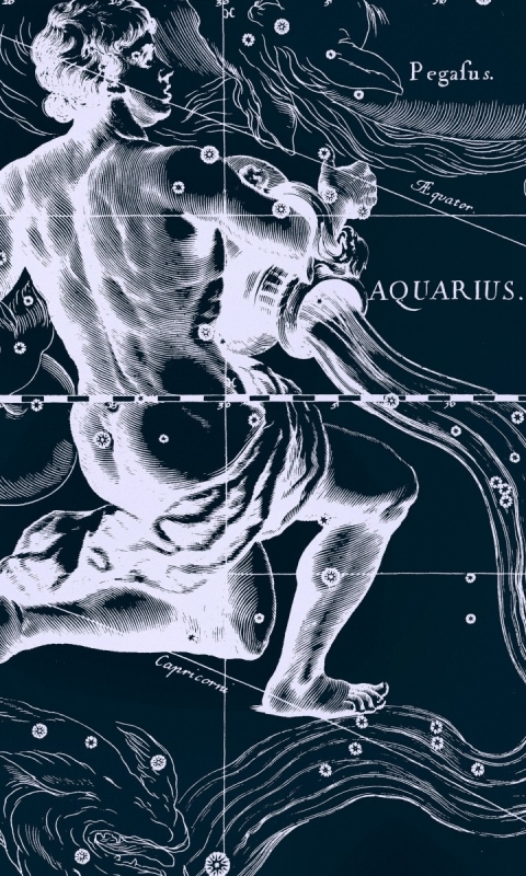 fantasy, zodiac, zodiac sign, horoscope, aquarius (astrology) phone wallpaper