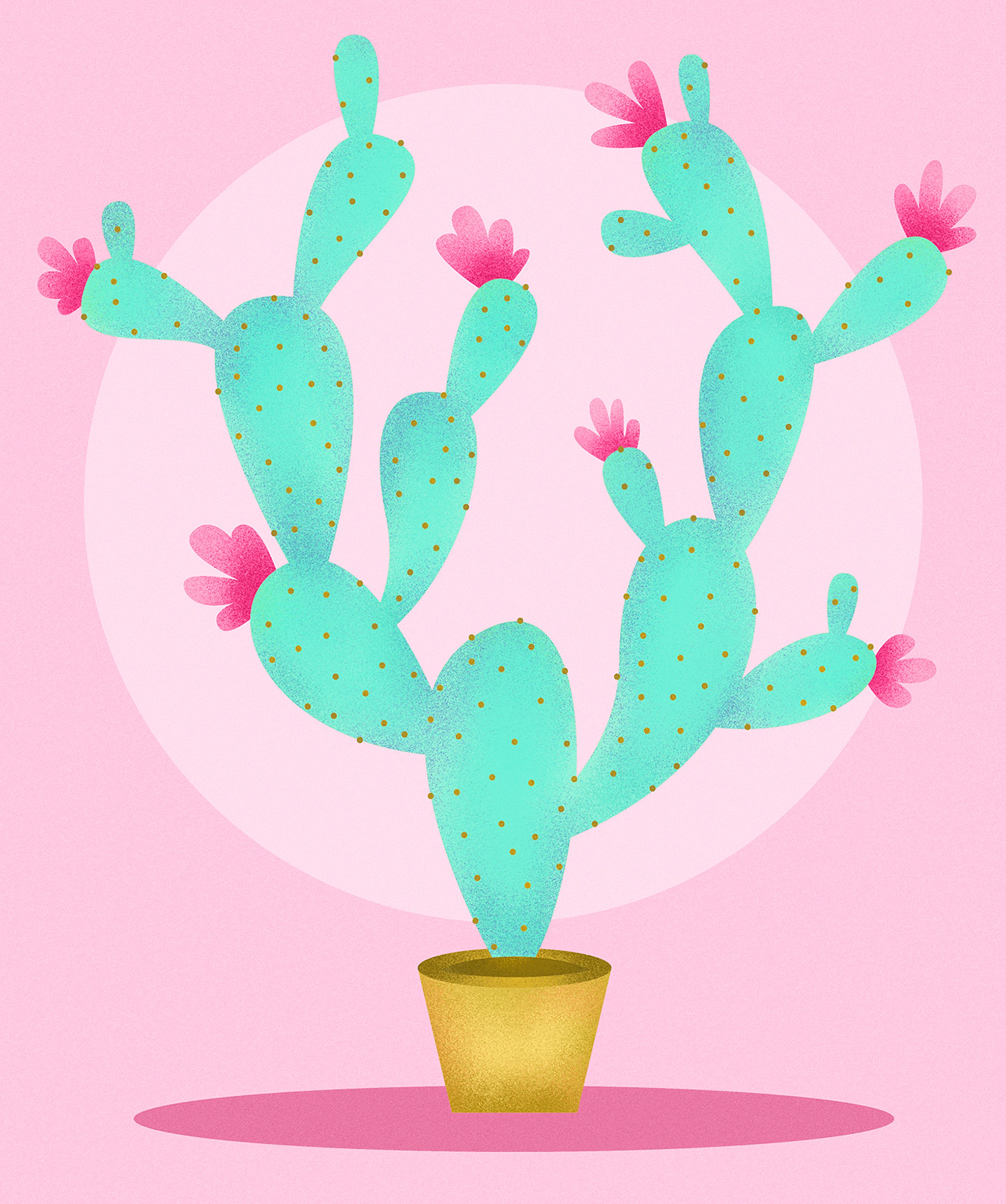 Laden Sie das Rosa, Blumen, Kunst, Kaktus-Bild kostenlos auf Ihren PC-Desktop herunter