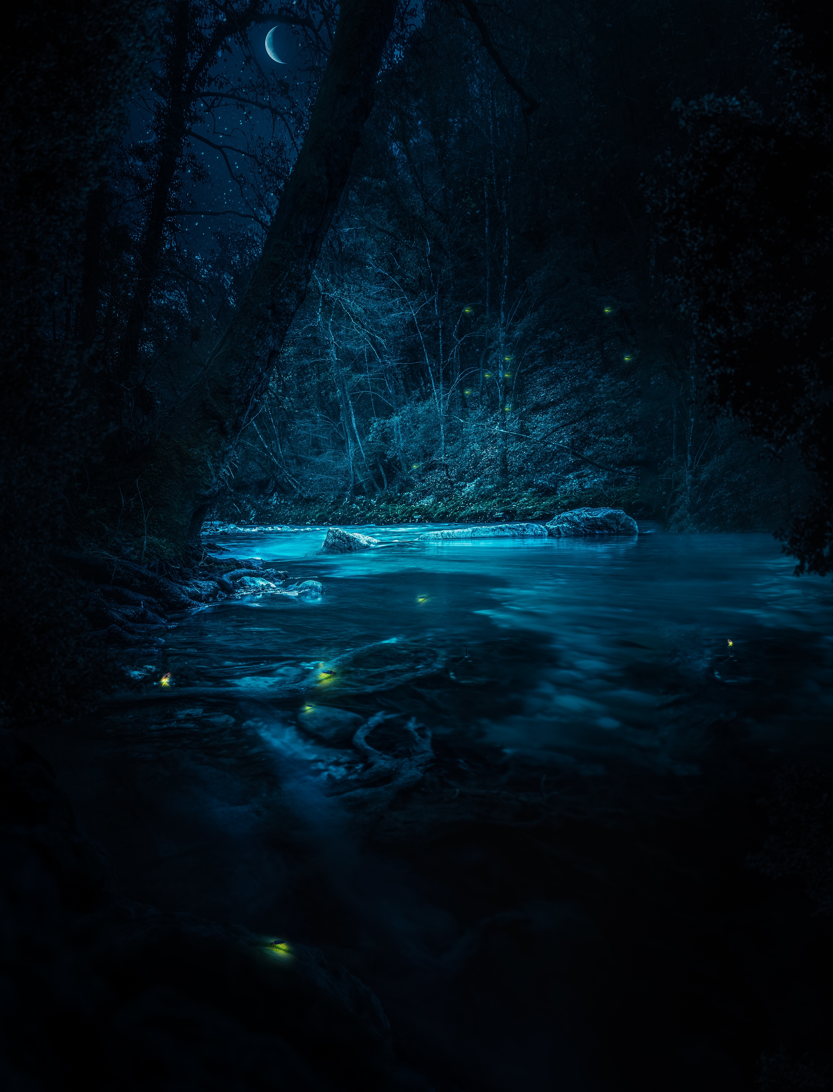 trees, light, shine, nature, rivers, stones, night 1080p