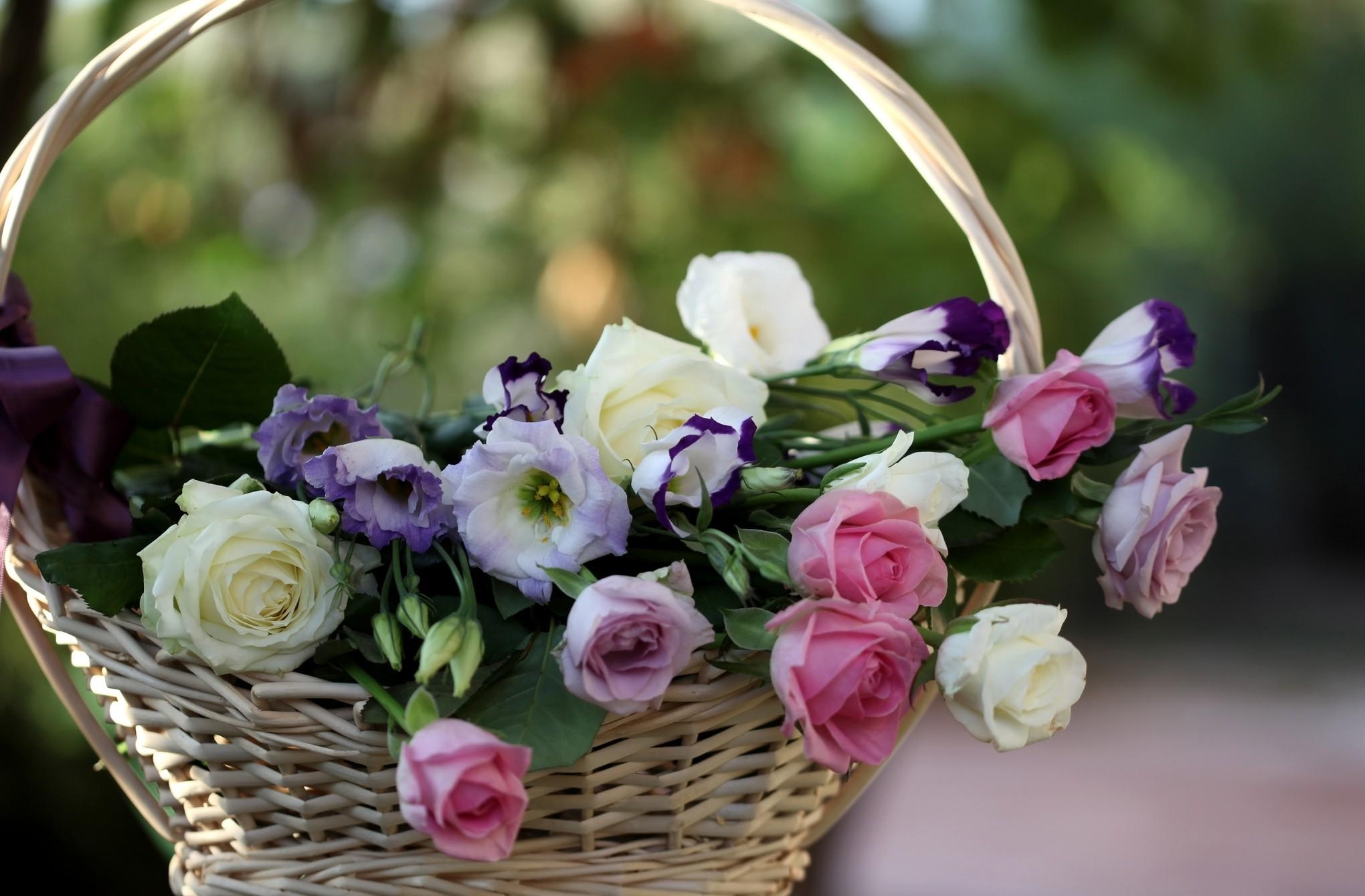 roses, flowers, blur, smooth, basket, lisianthus russell, lisiantus russell