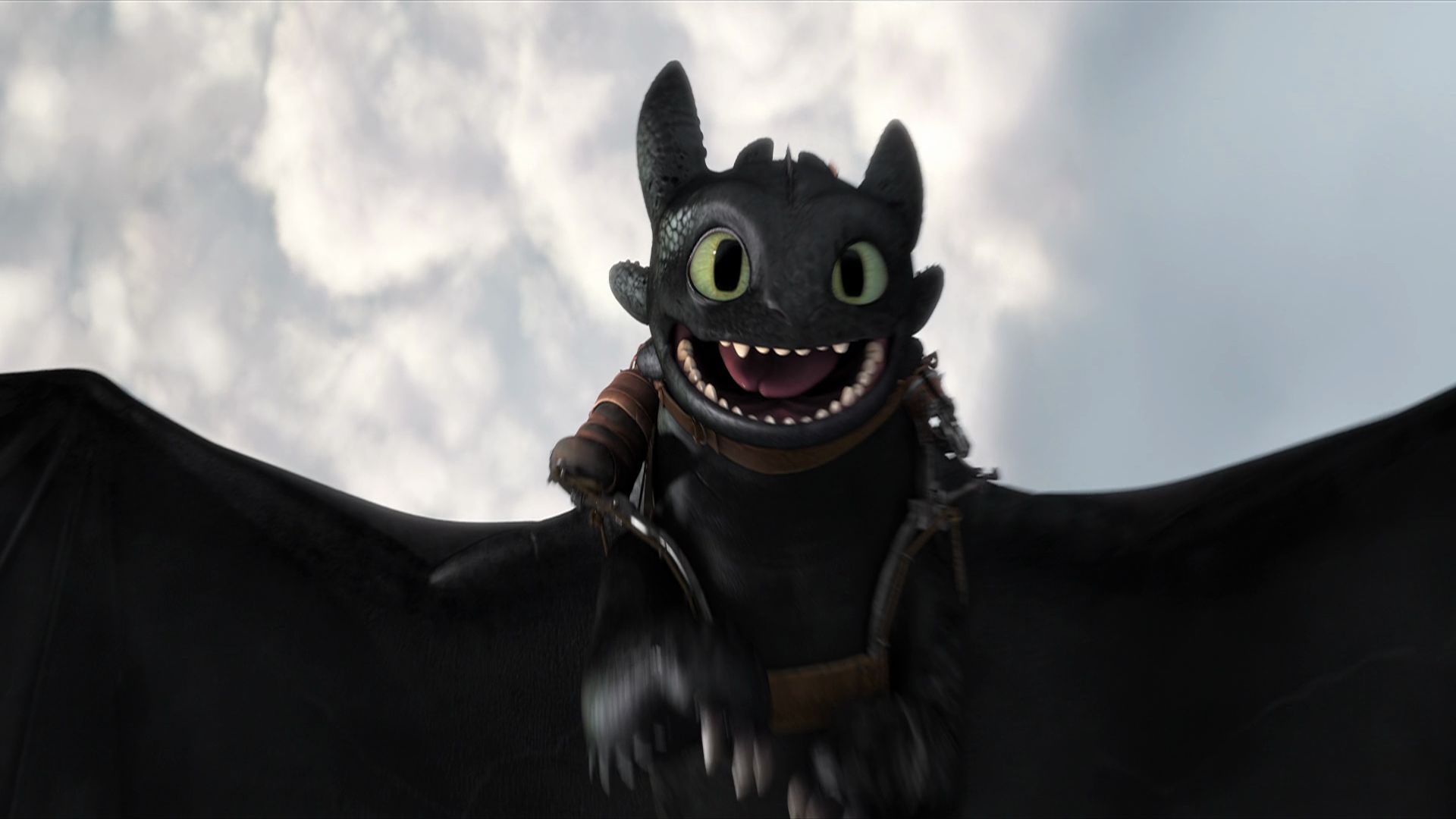 toothless HD wallpapers backgrounds