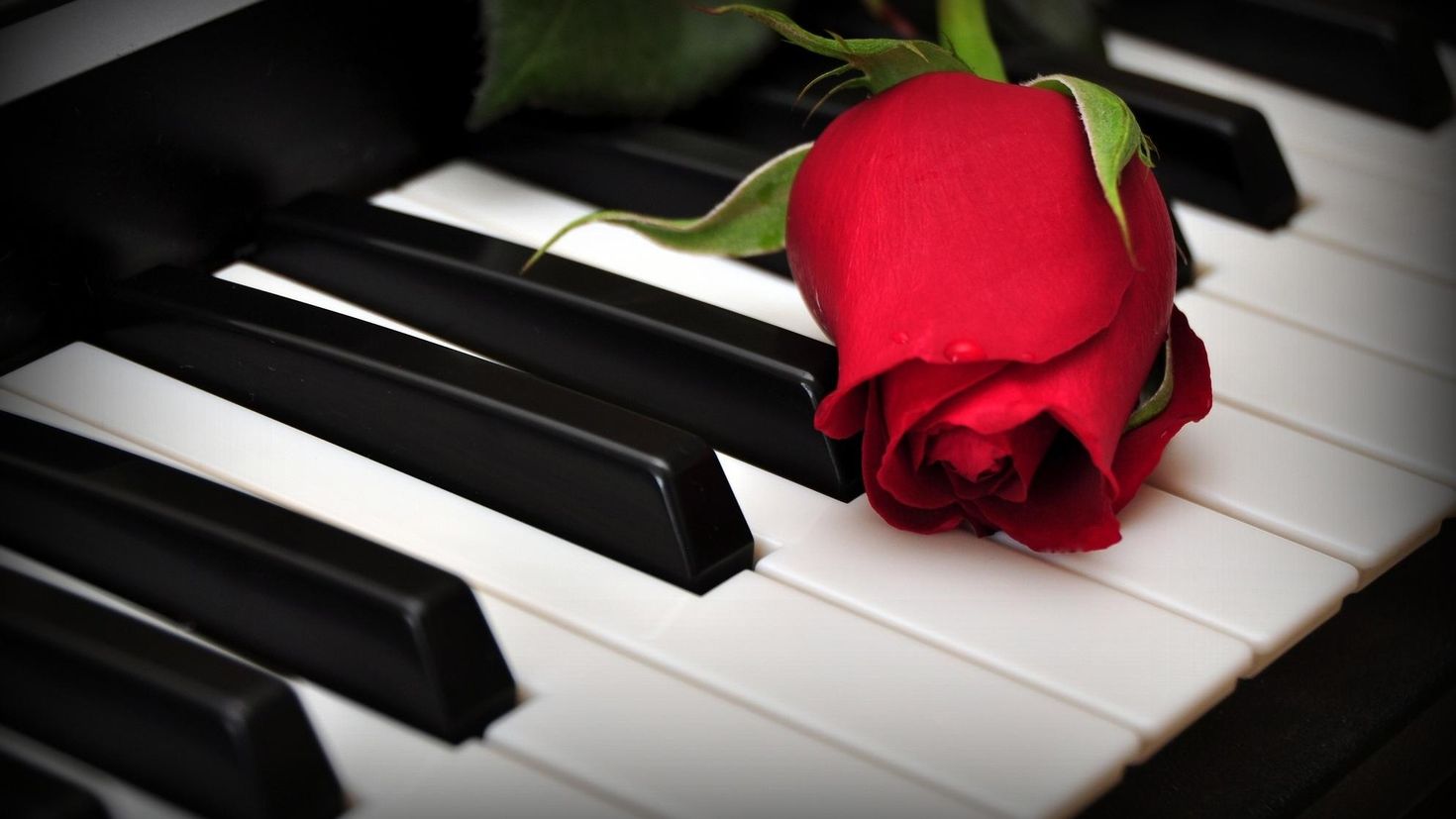 Фортепиано красивое. Фортепиано и цветы. Рояль с цветами. Розы на рояле.