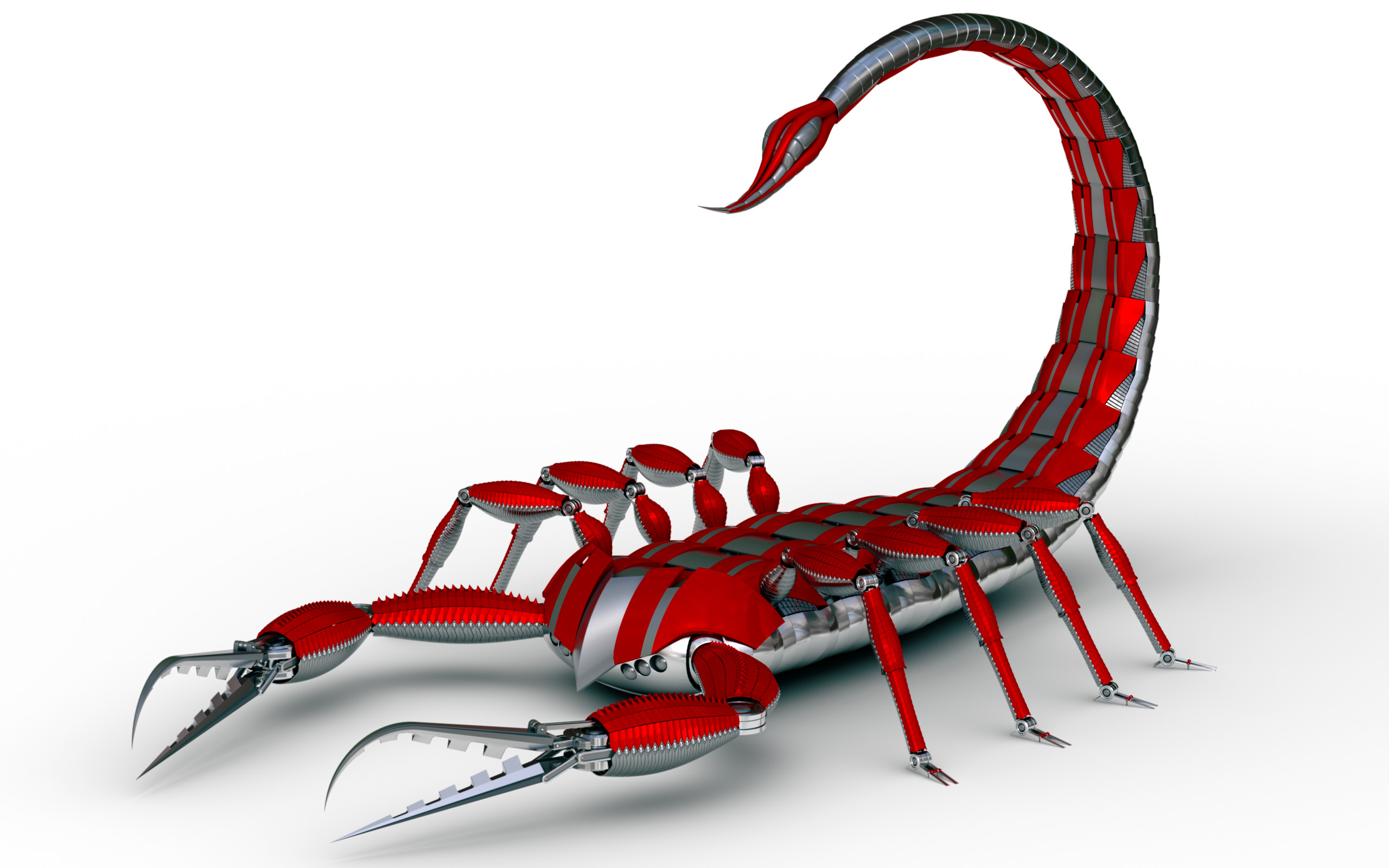 scorpion, animal UHD