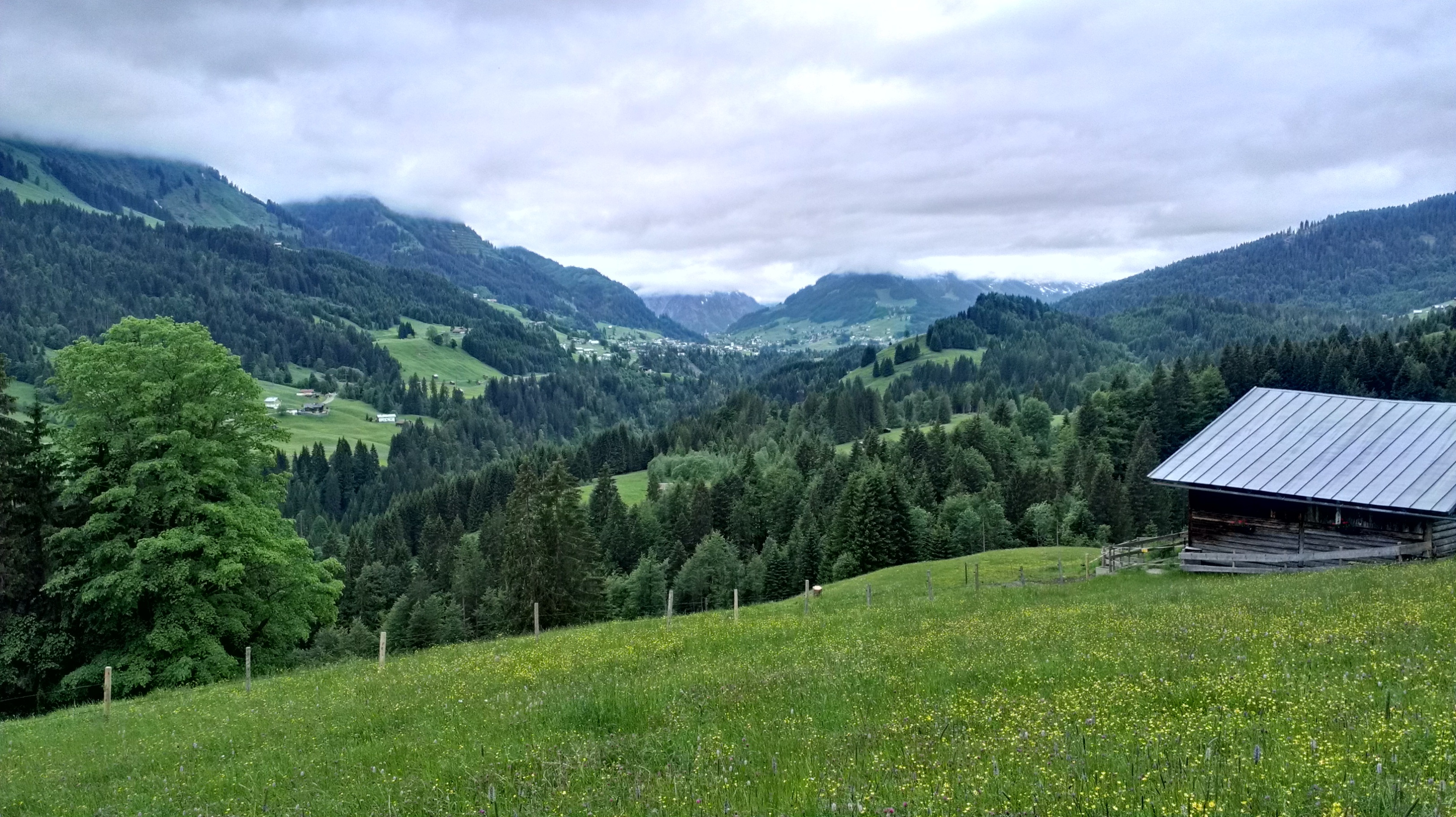 nature, grass, mountains, elevation, germany, allgäu, allgoy