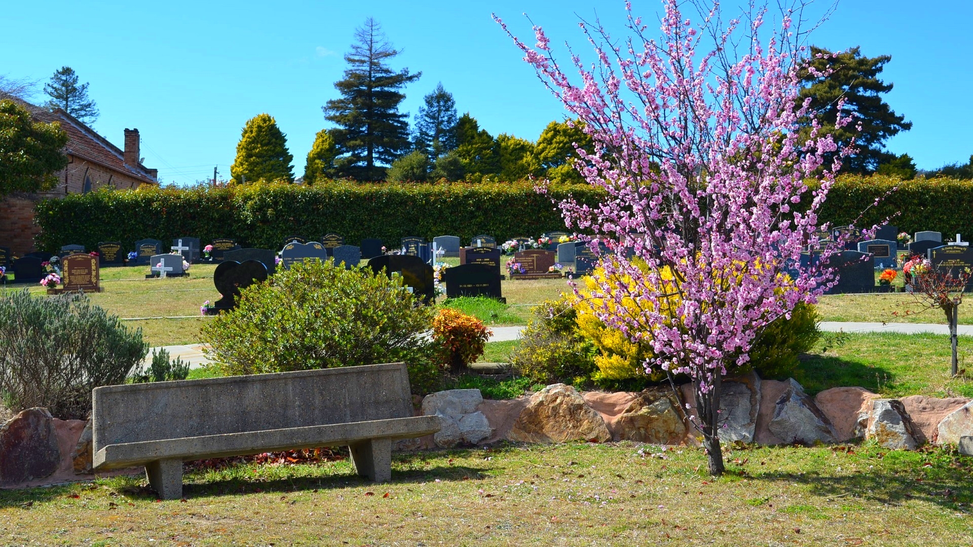 Download mobile wallpaper Tree, Bench, Australia, Grave, Blossom, Religious, Cemetery, Headstone, Lithgow for free.