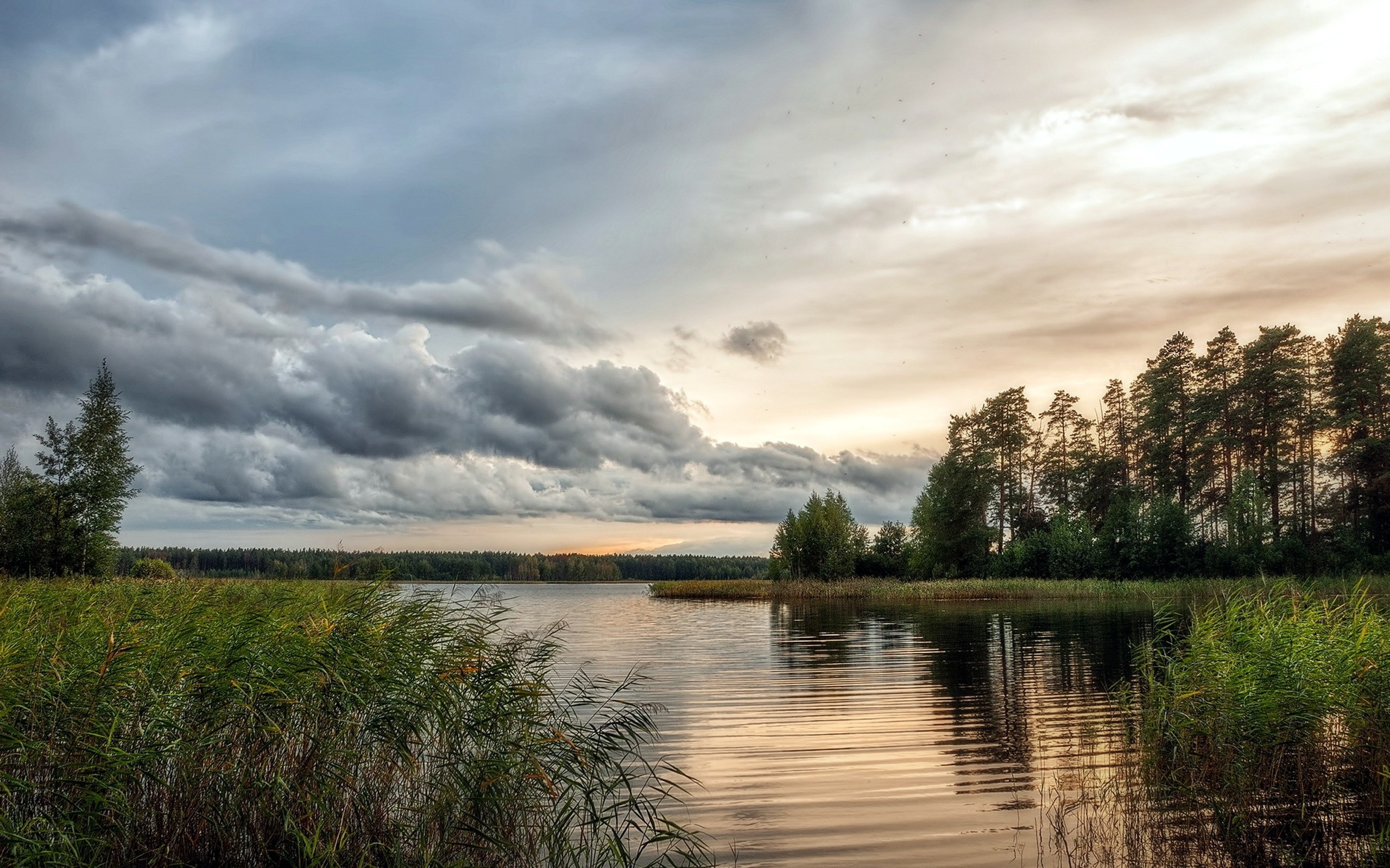 светлая река