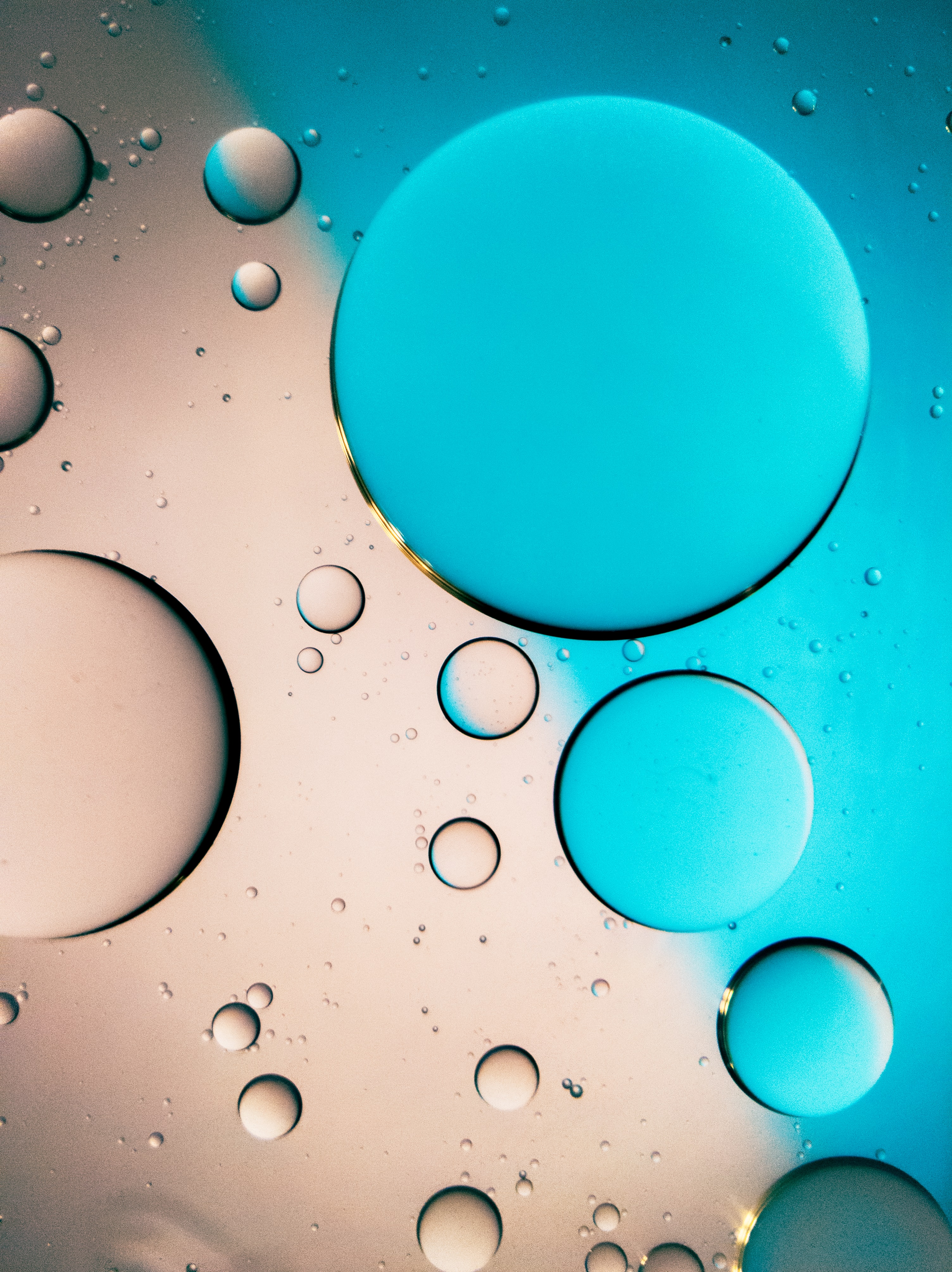 macro, liquid, drops, blue, grey phone background